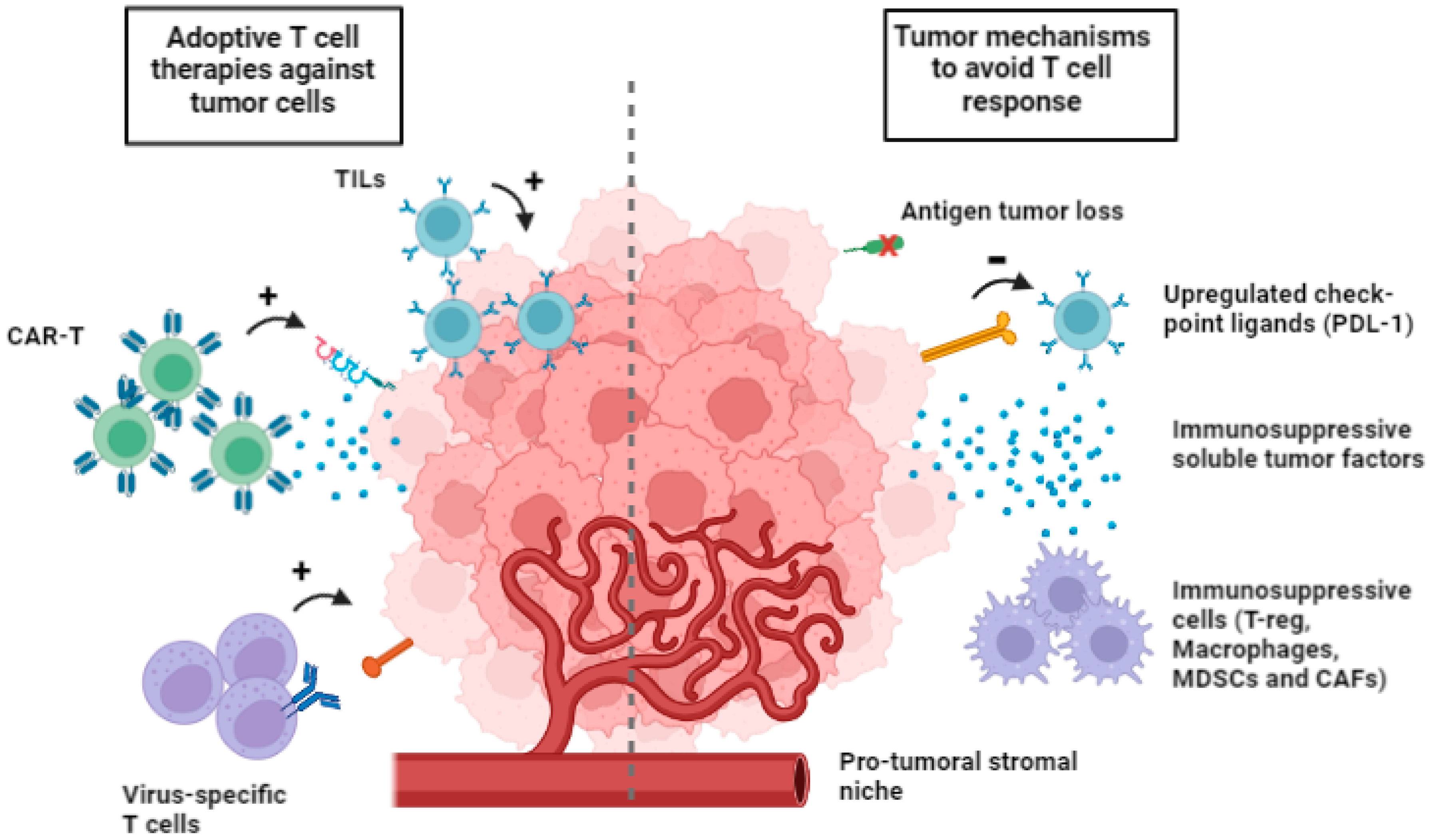 Cancers 15 03667 g001