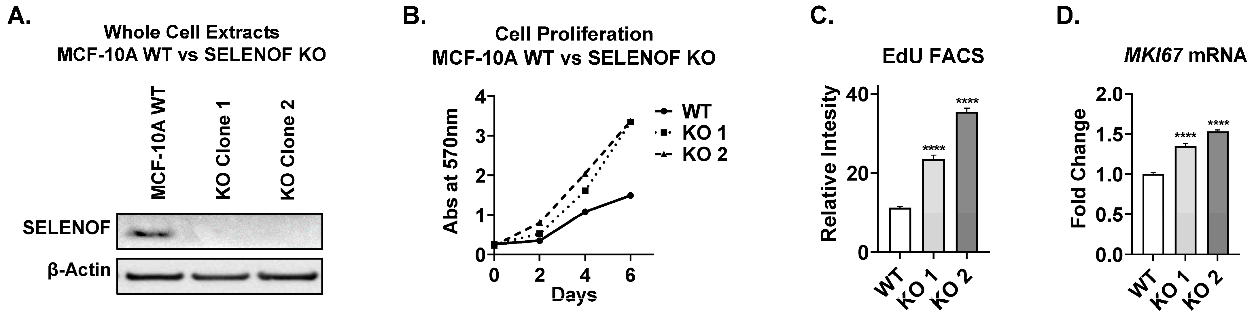 Cancers 15 03671 g001