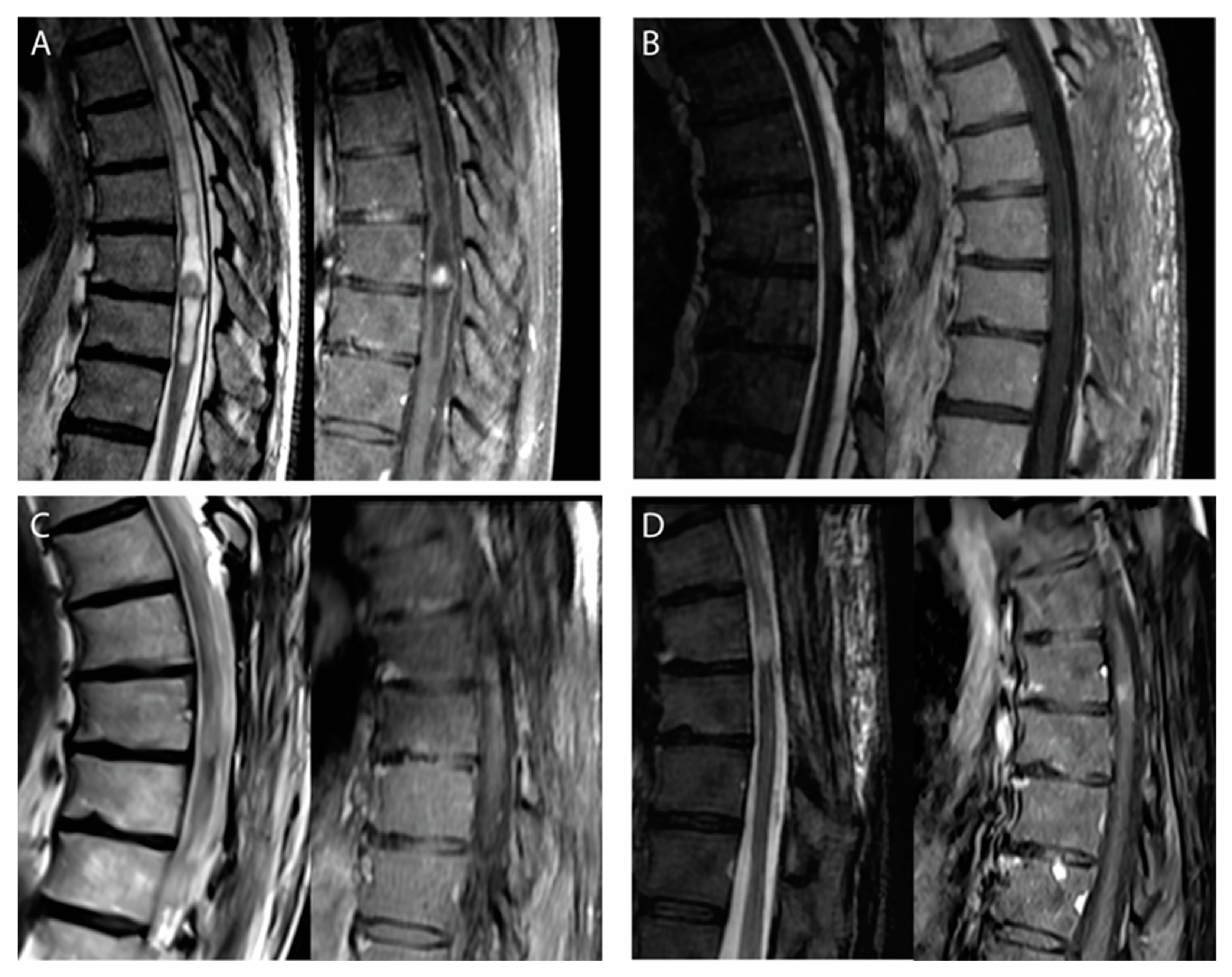 Cancers 15 03674 g002