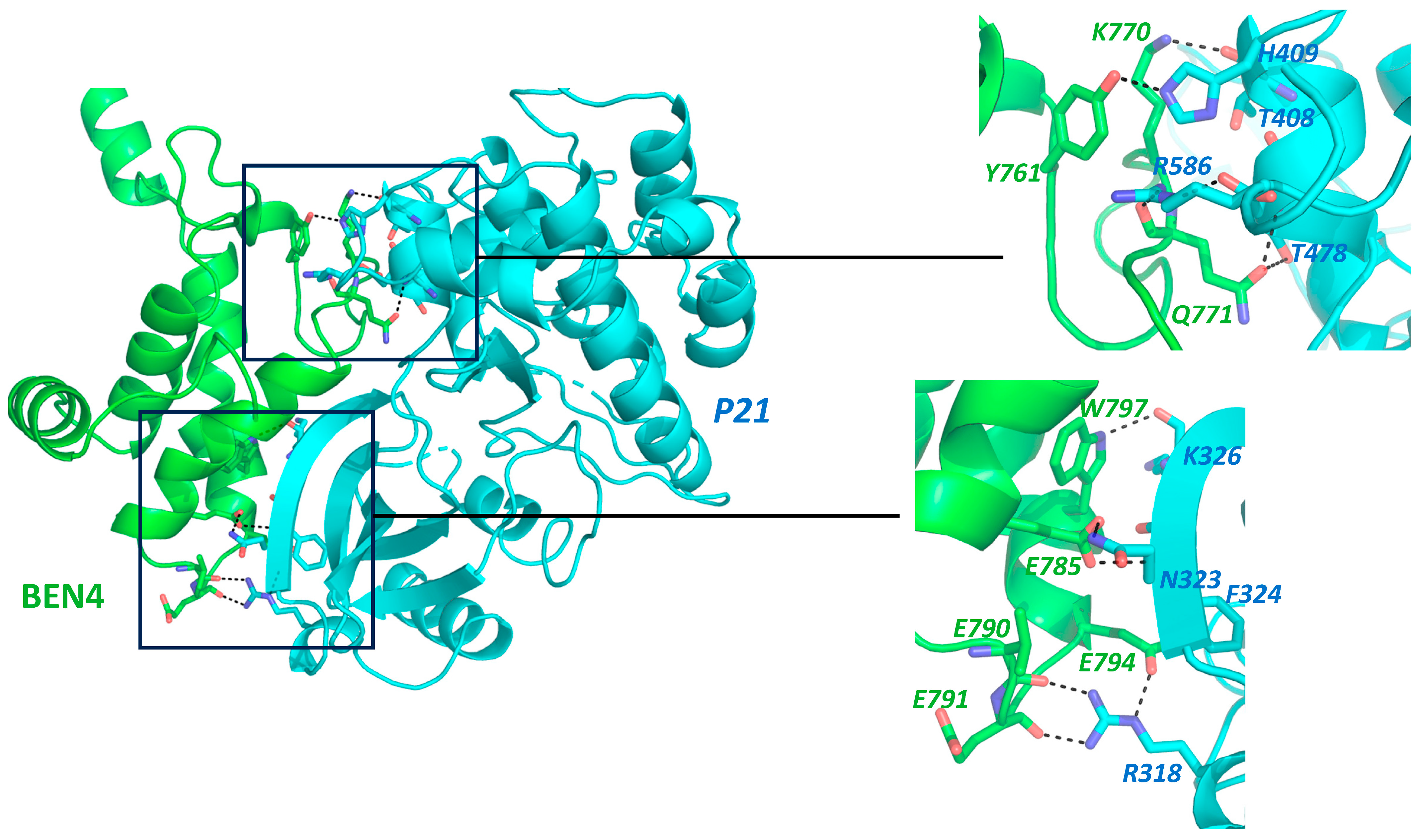 Cancers 15 03685 g002