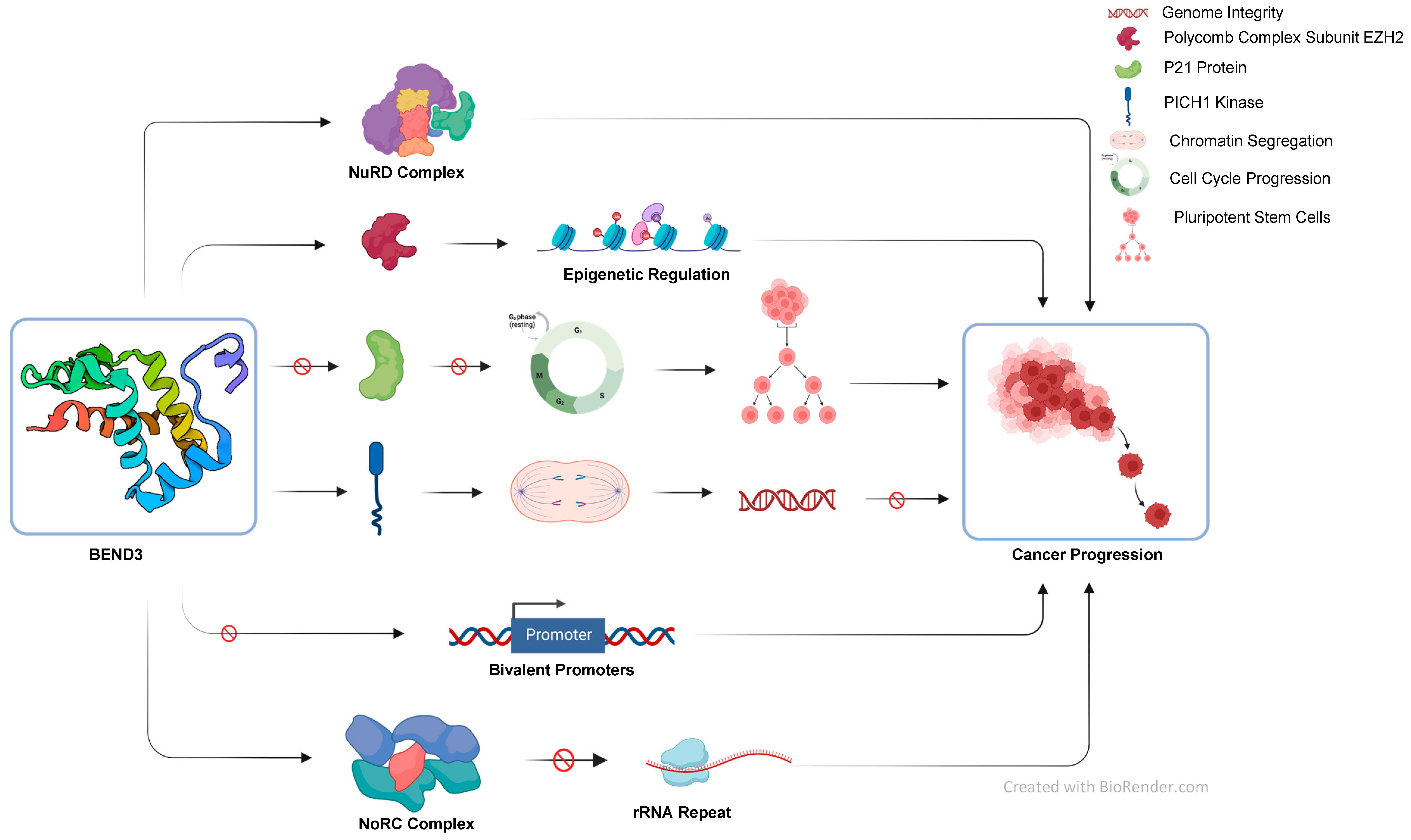 Cancers 15 03685 g003