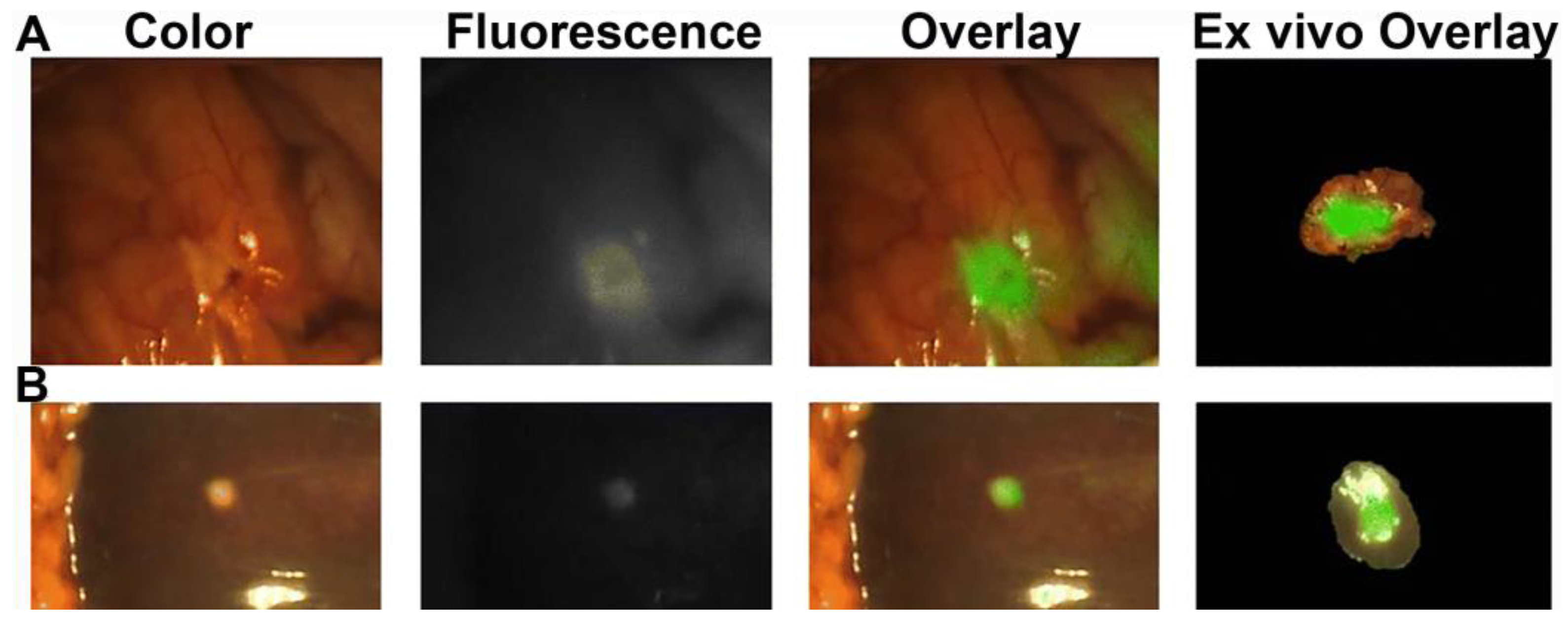 Cancers 15 03694 g004 Cancers 15 03694 g004