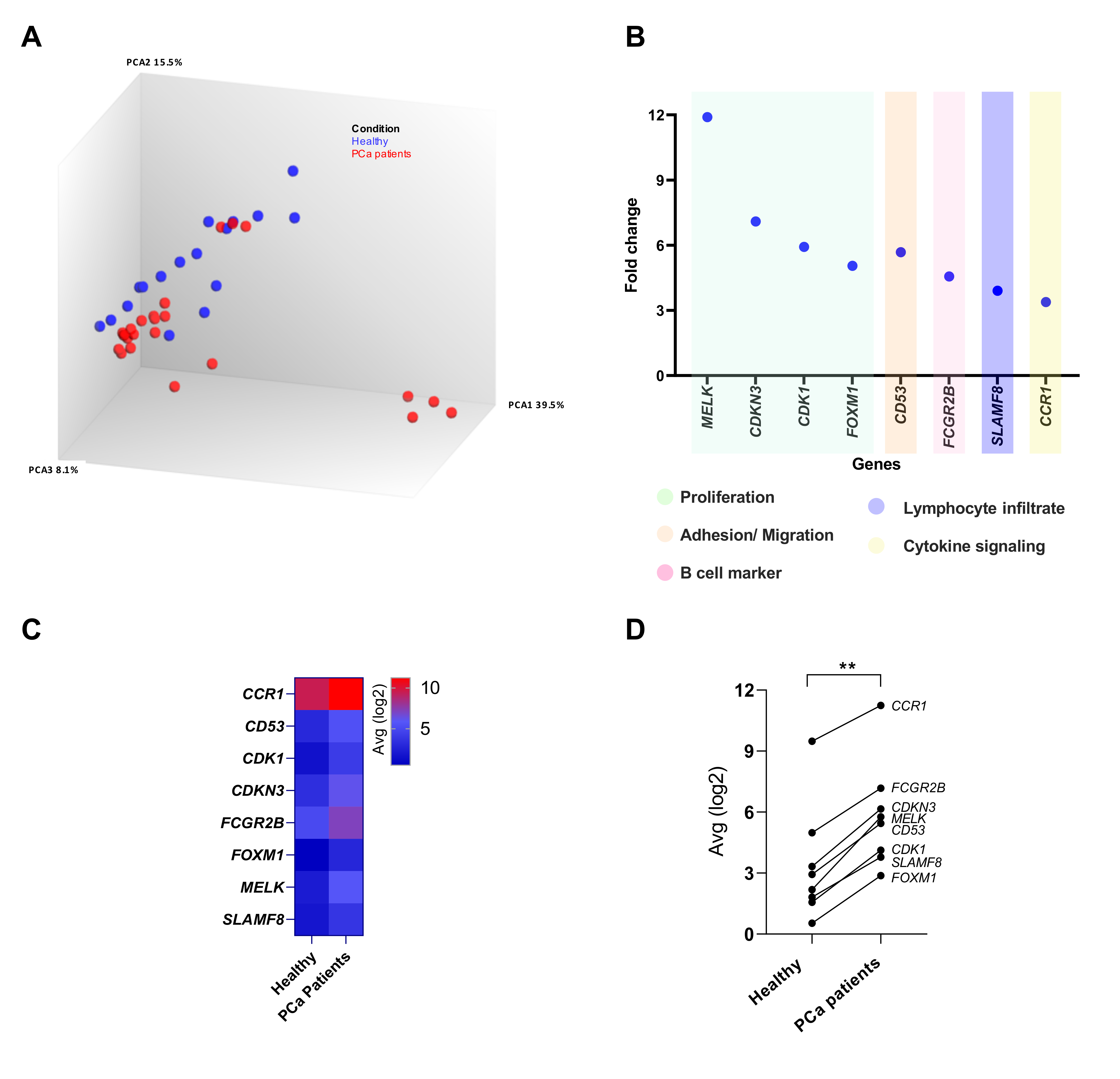Cancers 15 03697 g002
