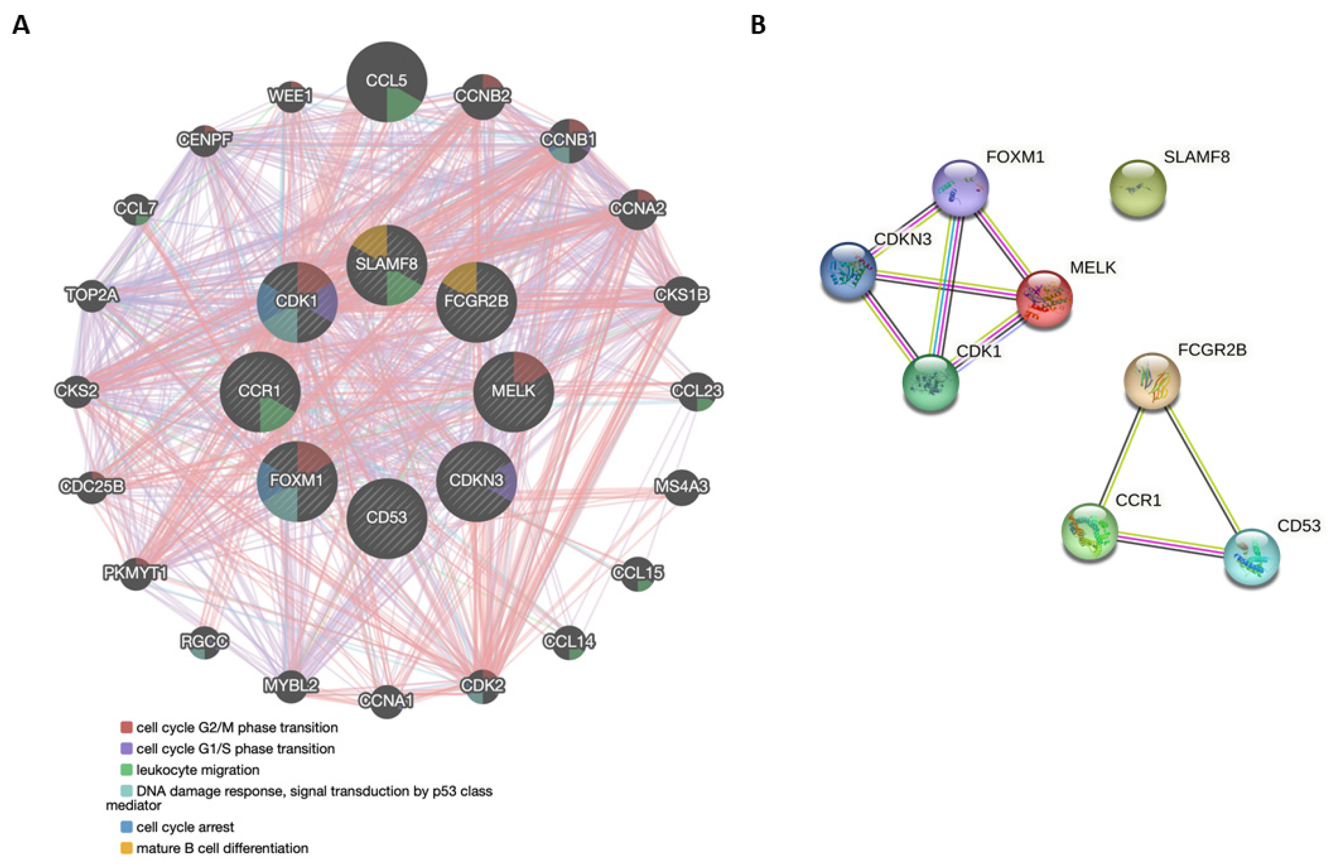 Cancers 15 03697 g006