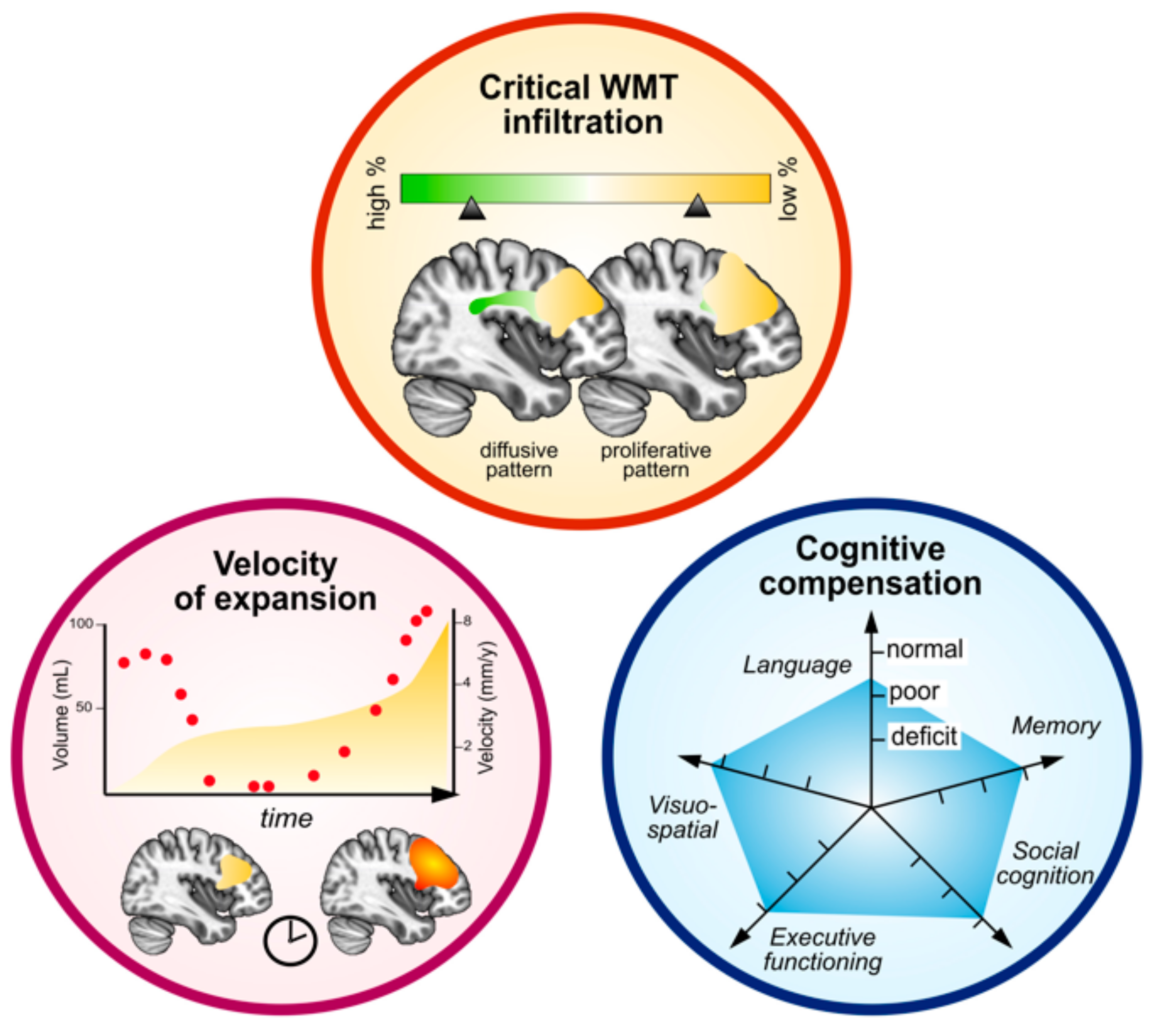 Cancers 15 03698 g001