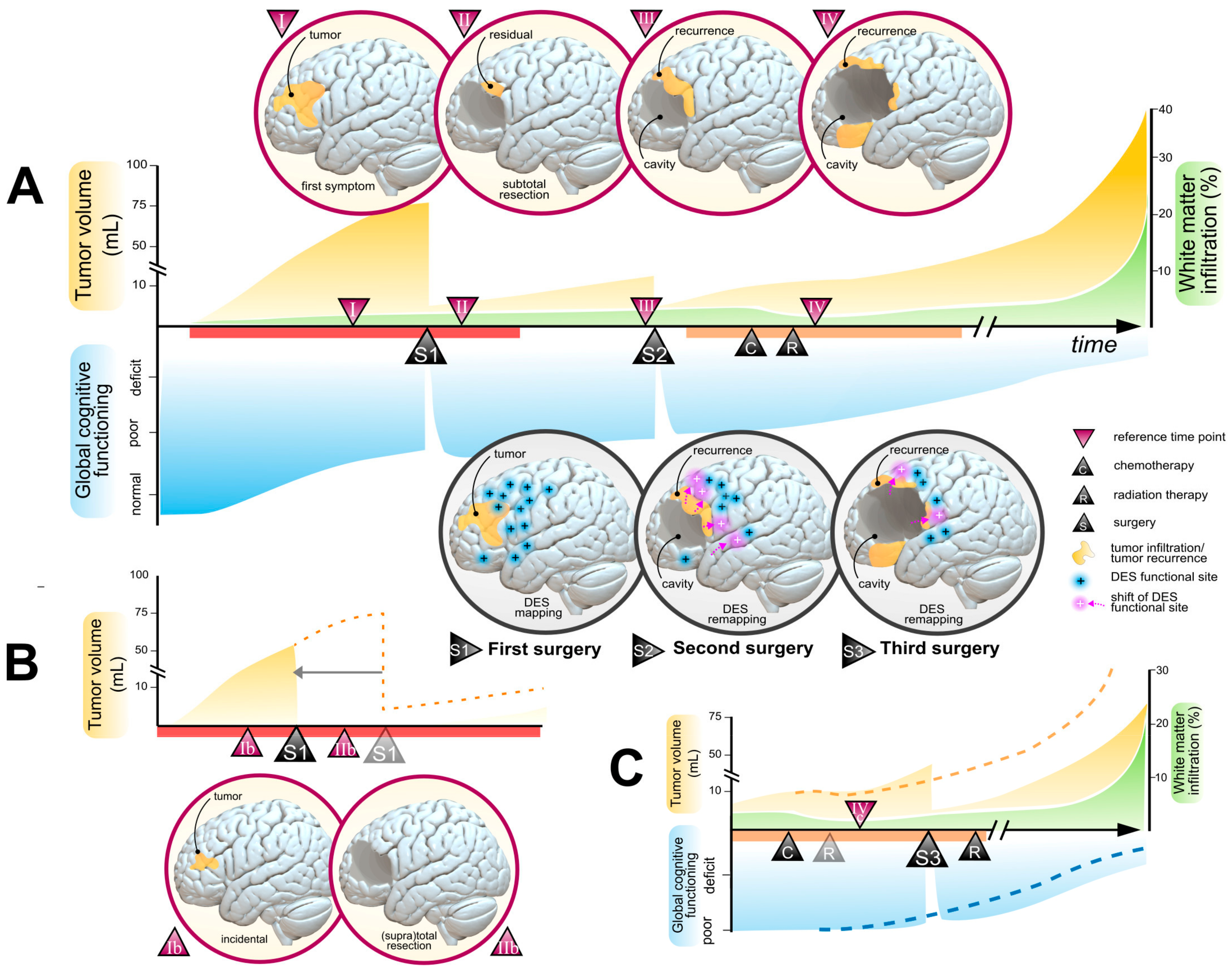 Cancers 15 03698 g002