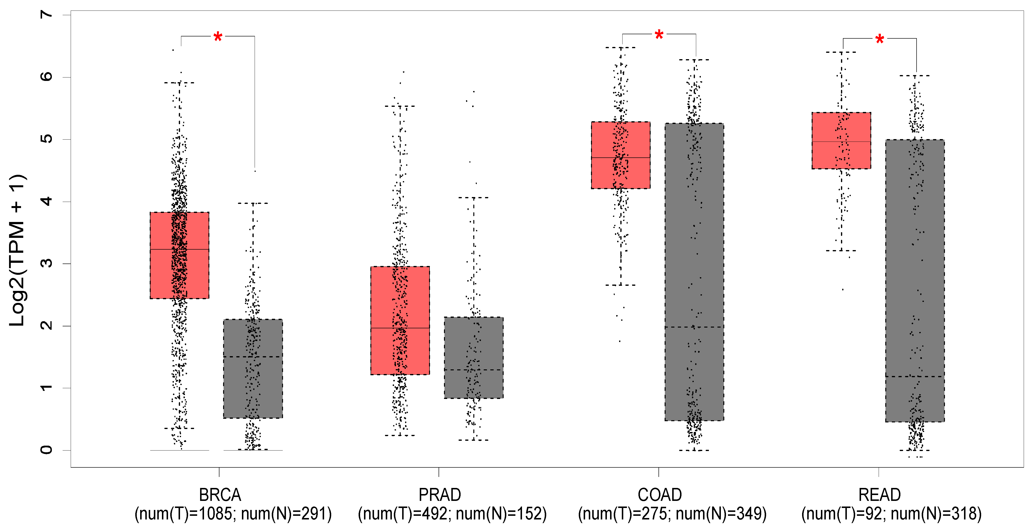 Cancers 15 03703 g002 Cancers 15 03703 g002
