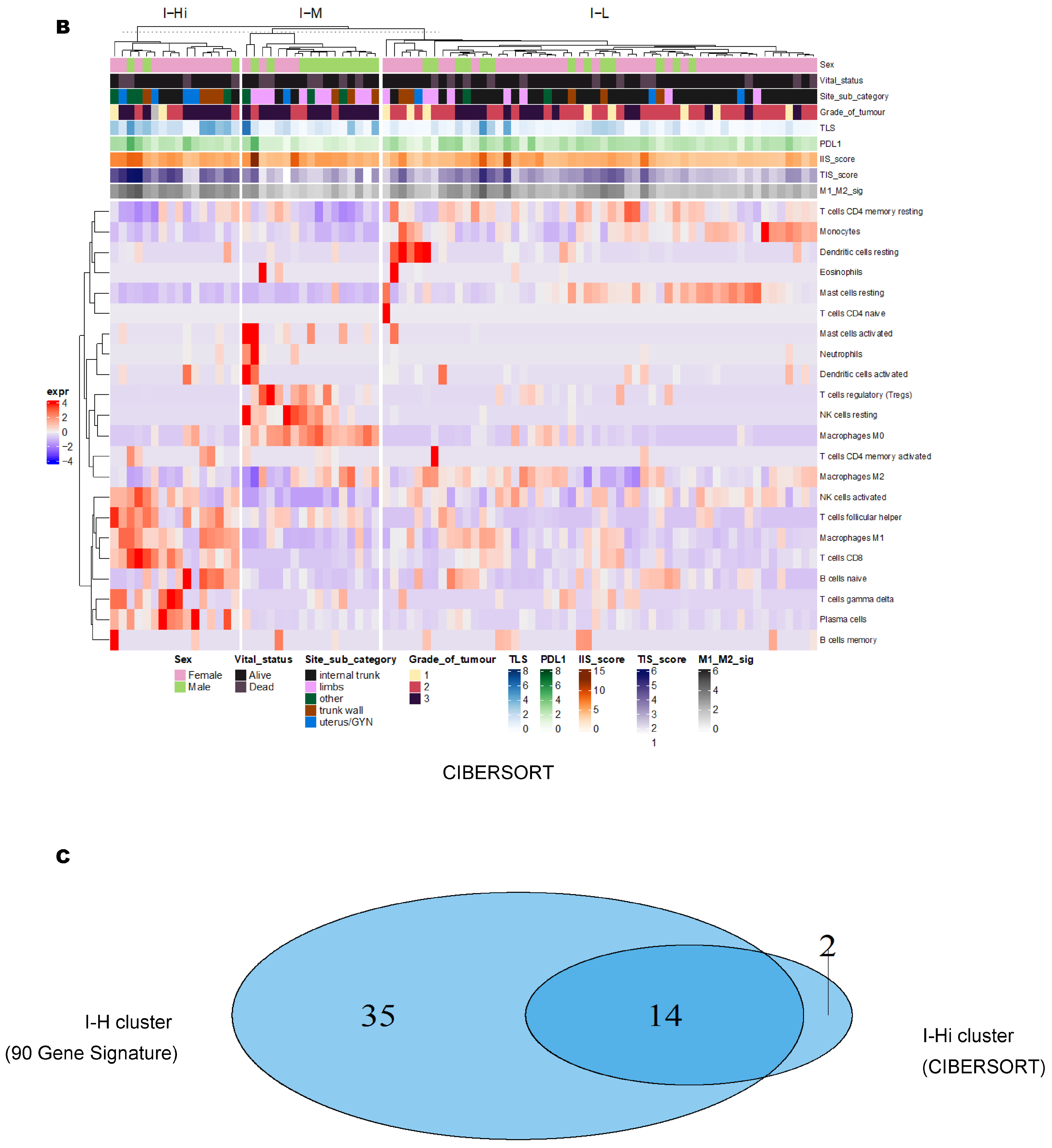 Cancers 15 03705 g001b