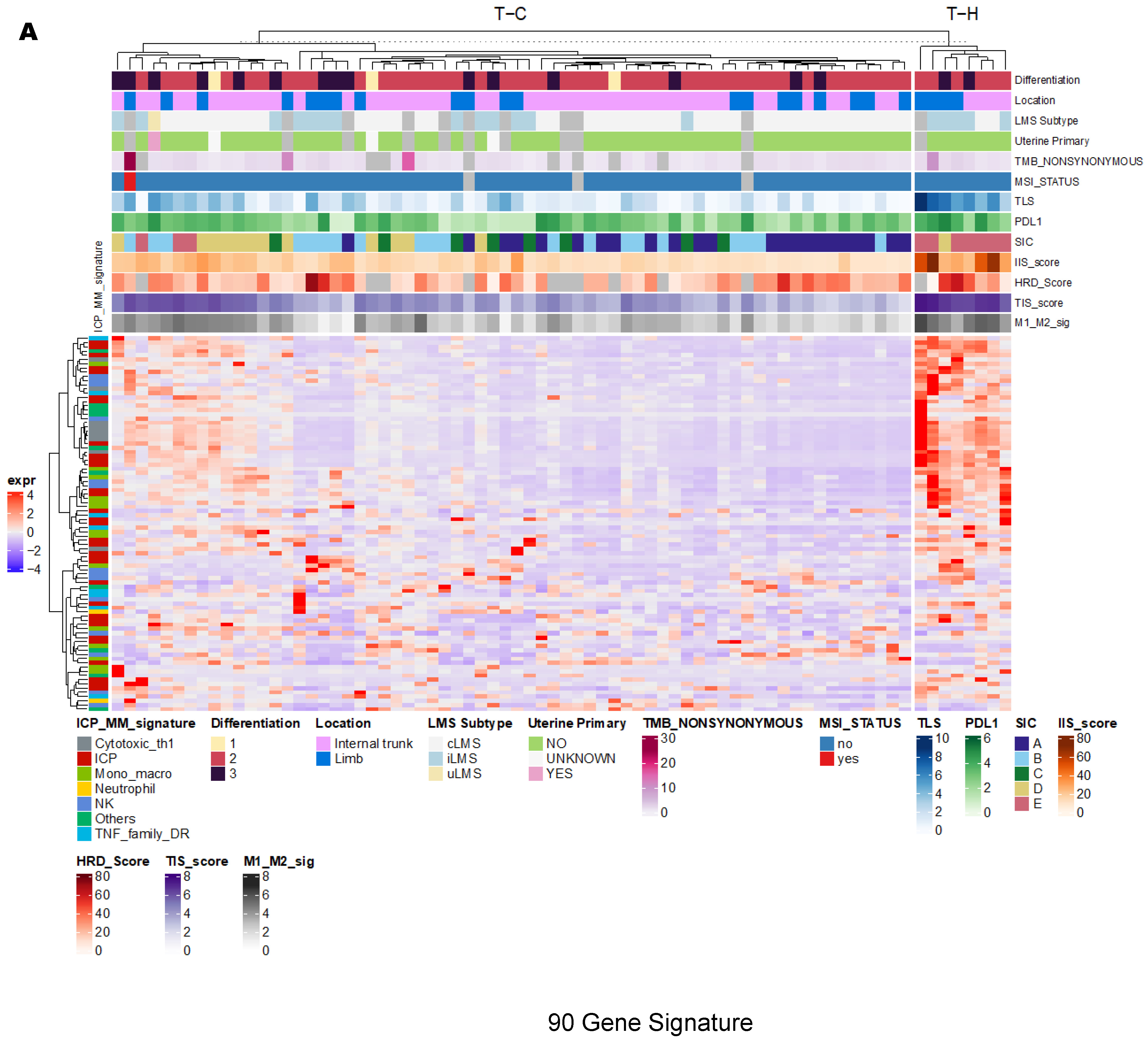 Cancers 15 03705 g002a