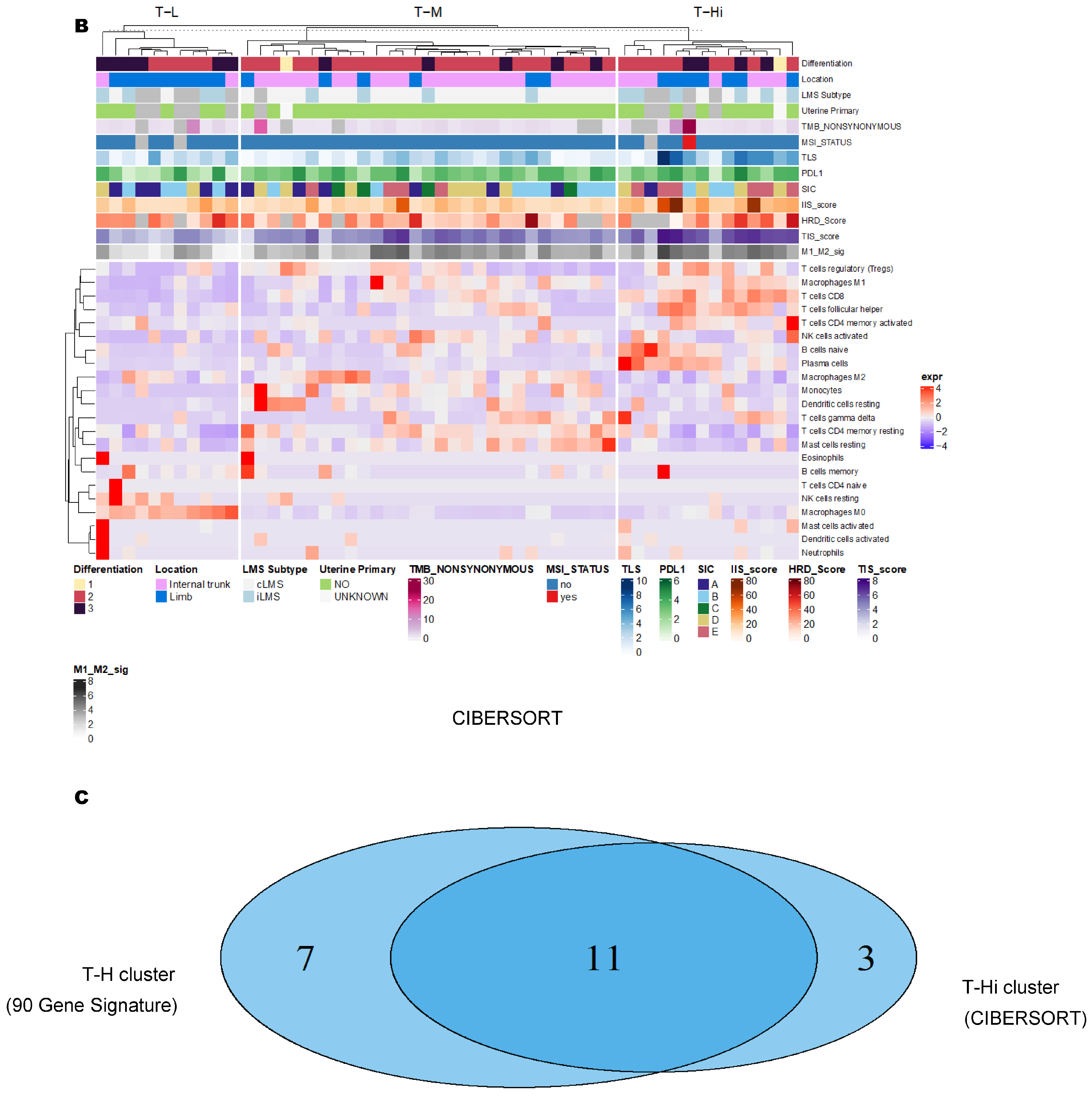 Cancers 15 03705 g002b