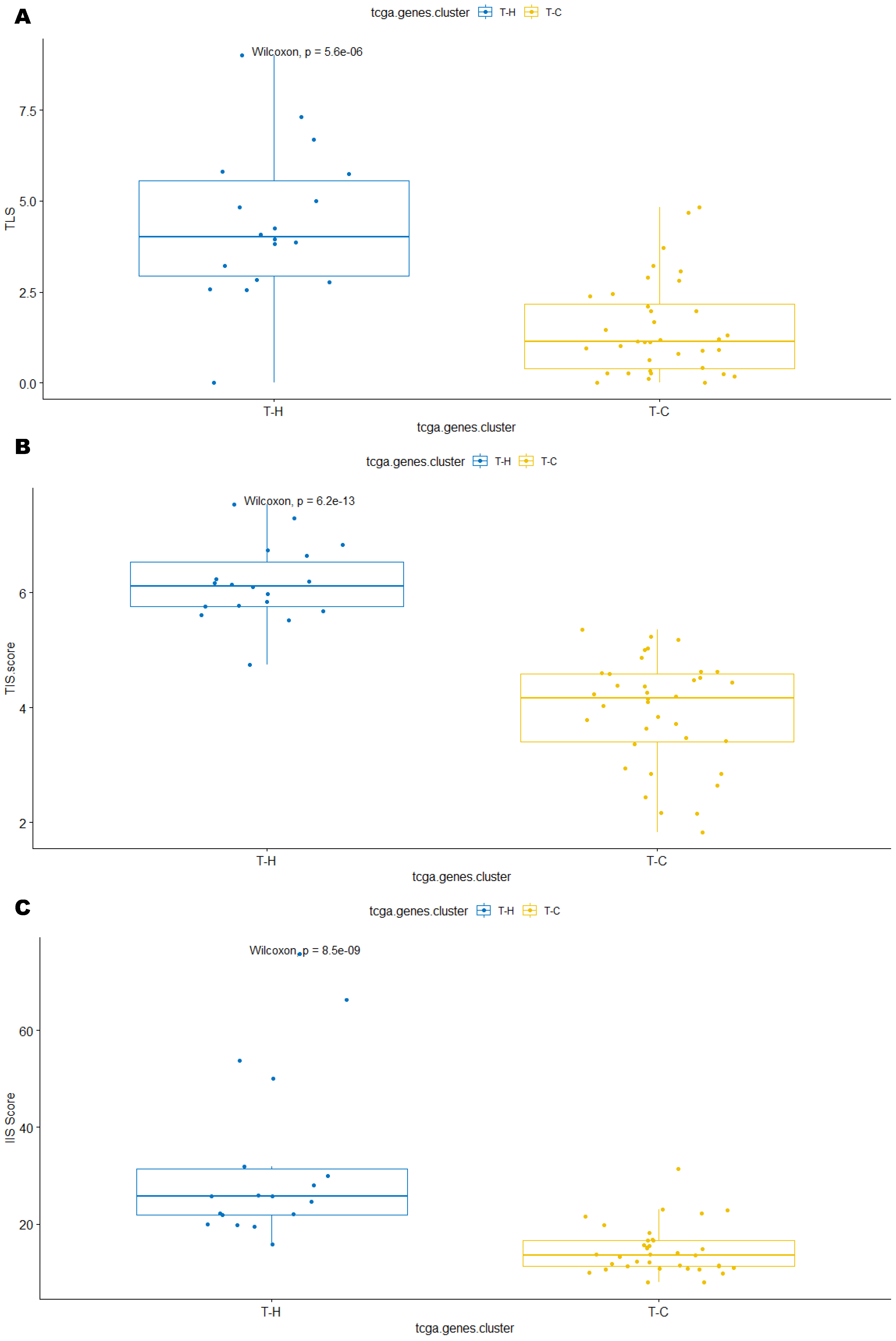 Cancers 15 03705 g004a