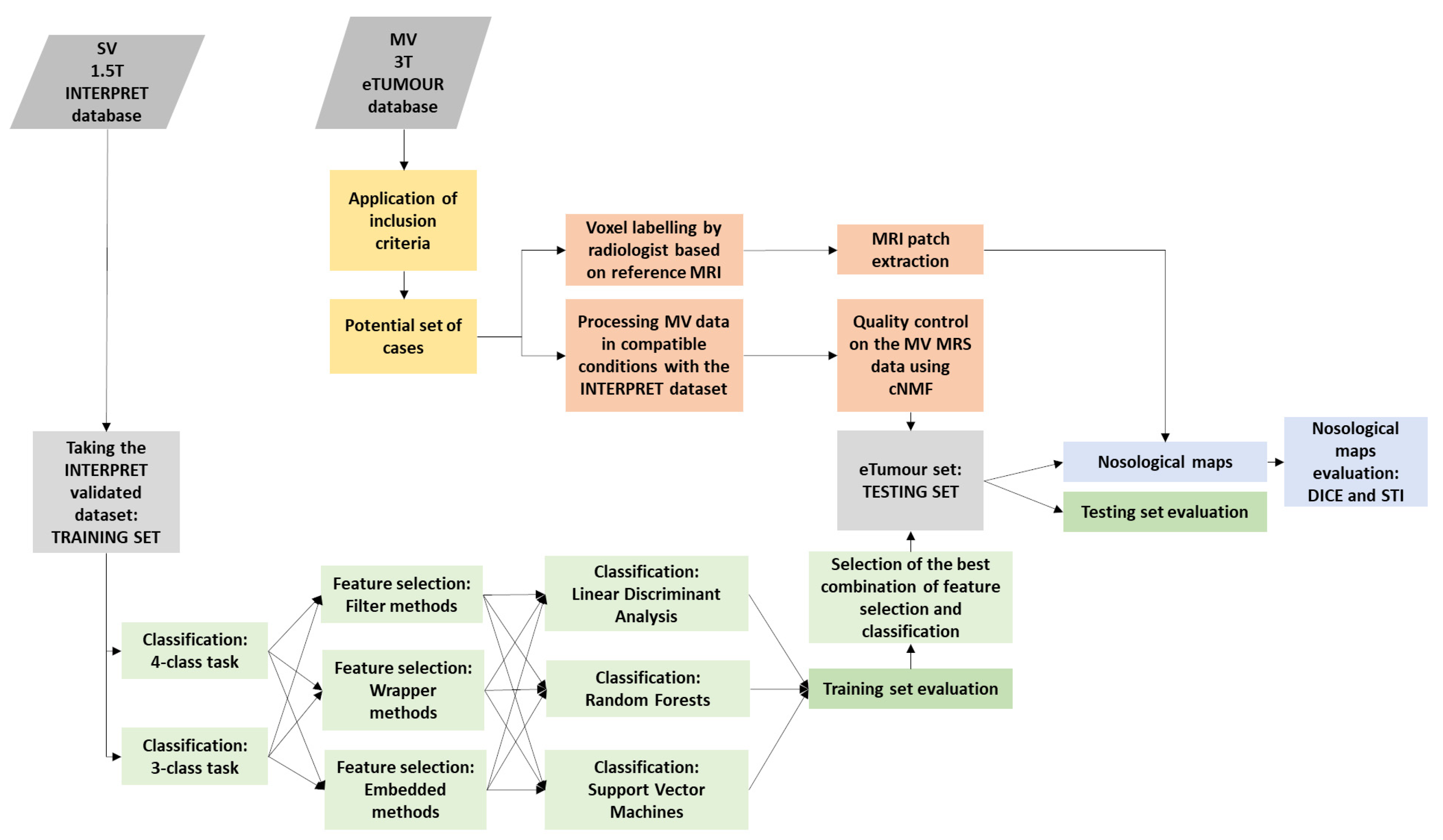 Cancers 15 03709 g001