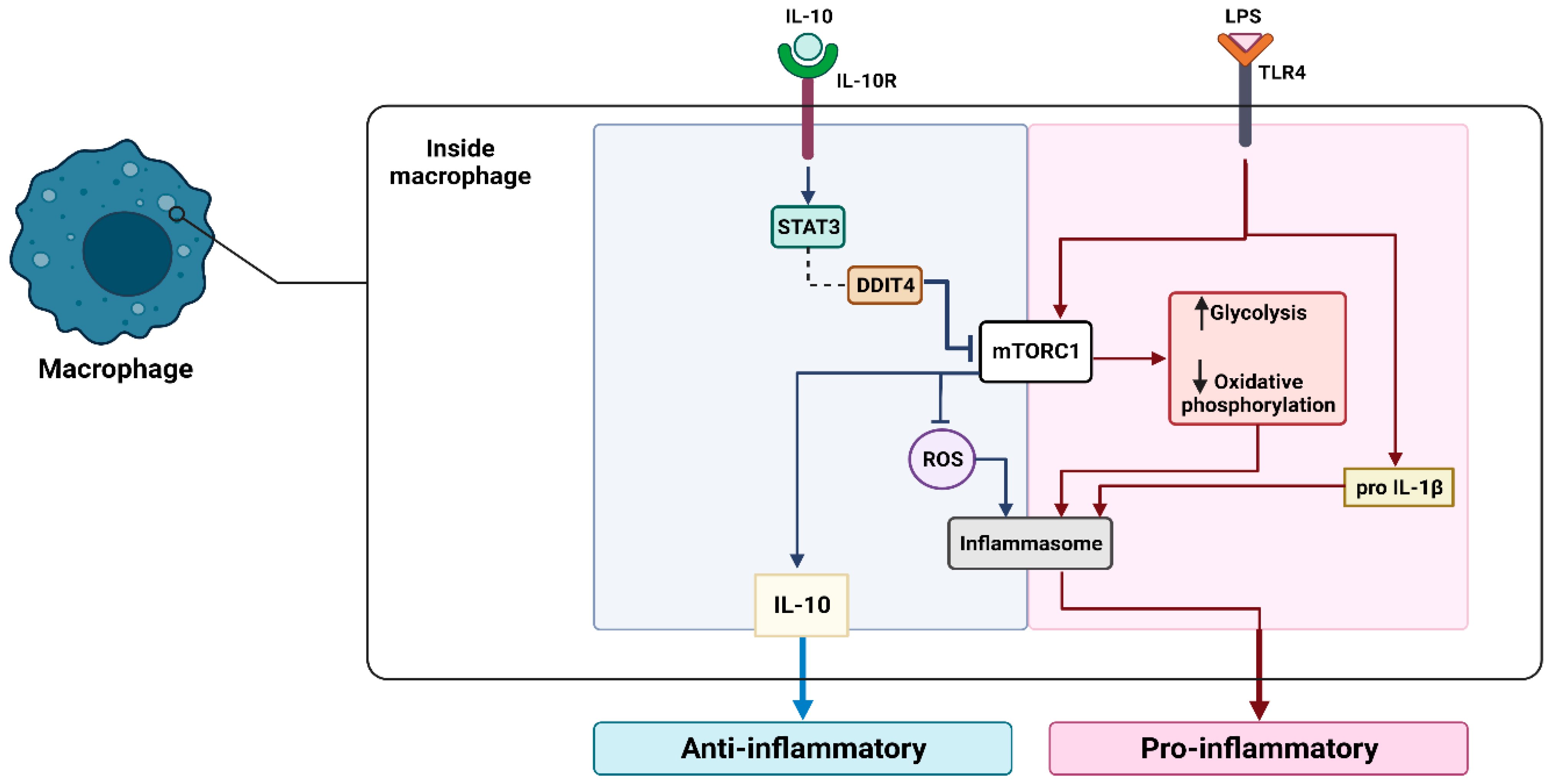 Cancers 15 03722 g001 Cancers 15 03722 g001