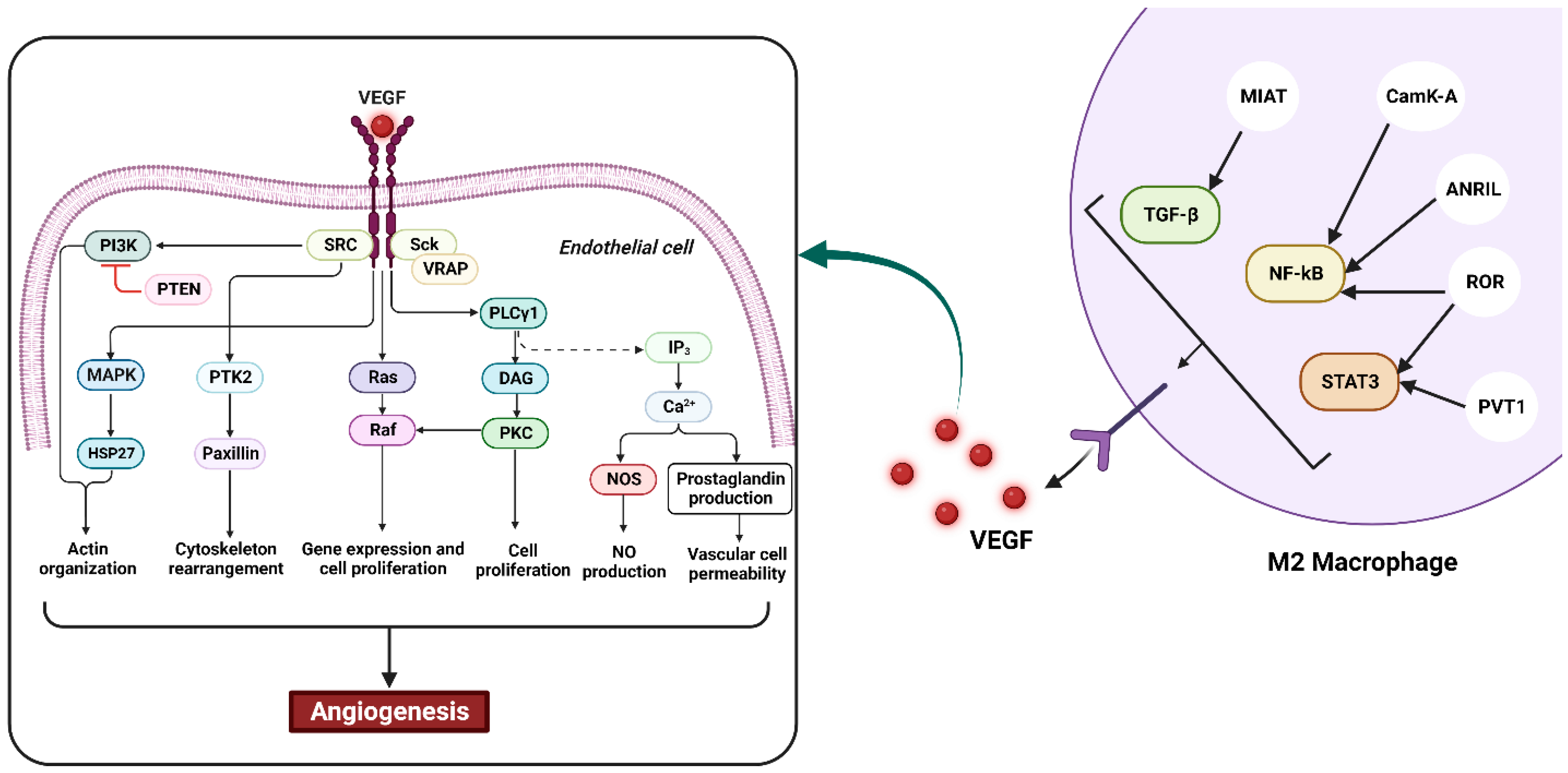 Cancers 15 03722 g002 Cancers 15 03722 g002