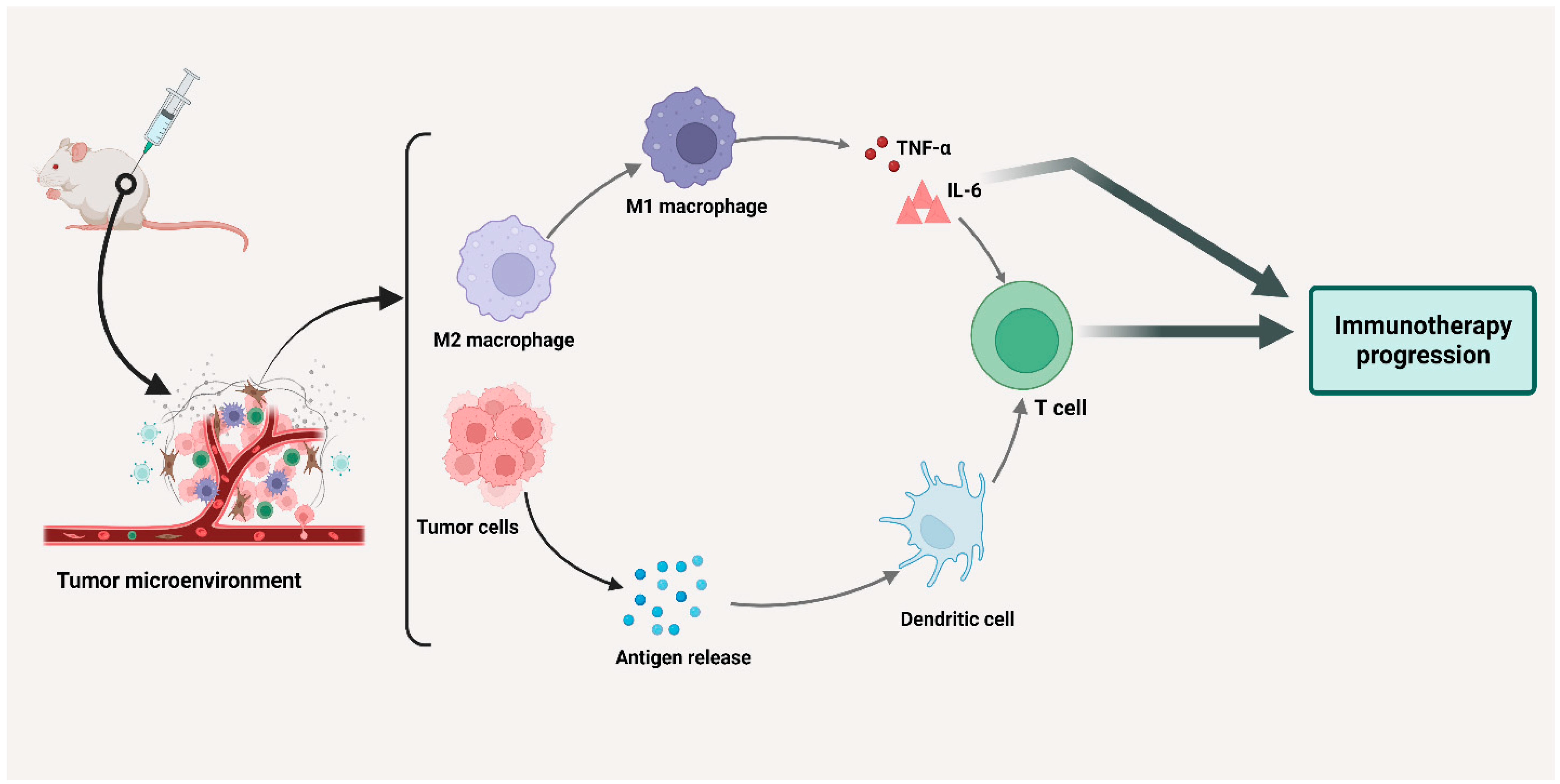 Cancers 15 03722 g003 Cancers 15 03722 g003