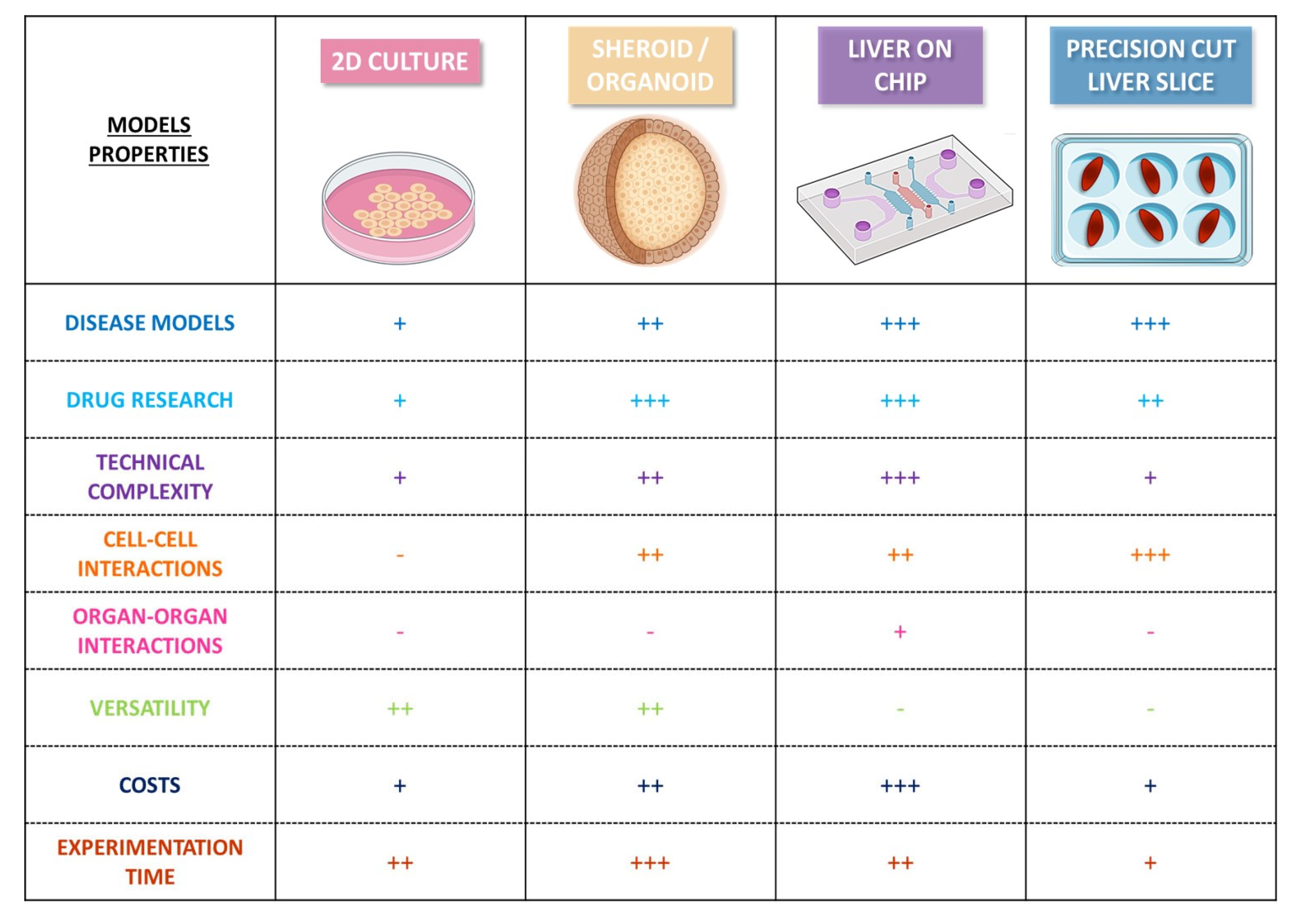 Cancers 15 03723 g002