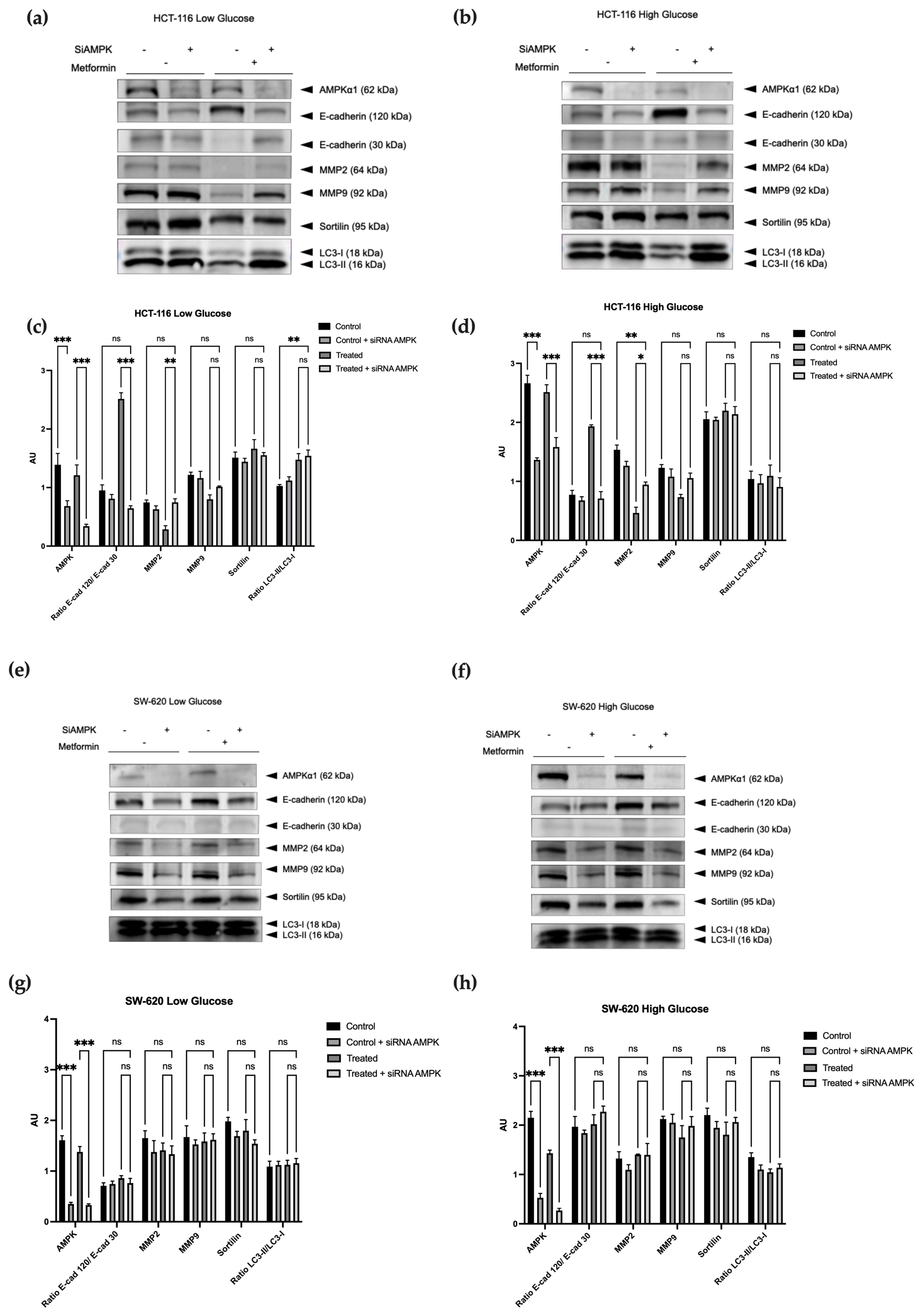 Cancers 15 03724 g004 Cancers 15 03724 g004
