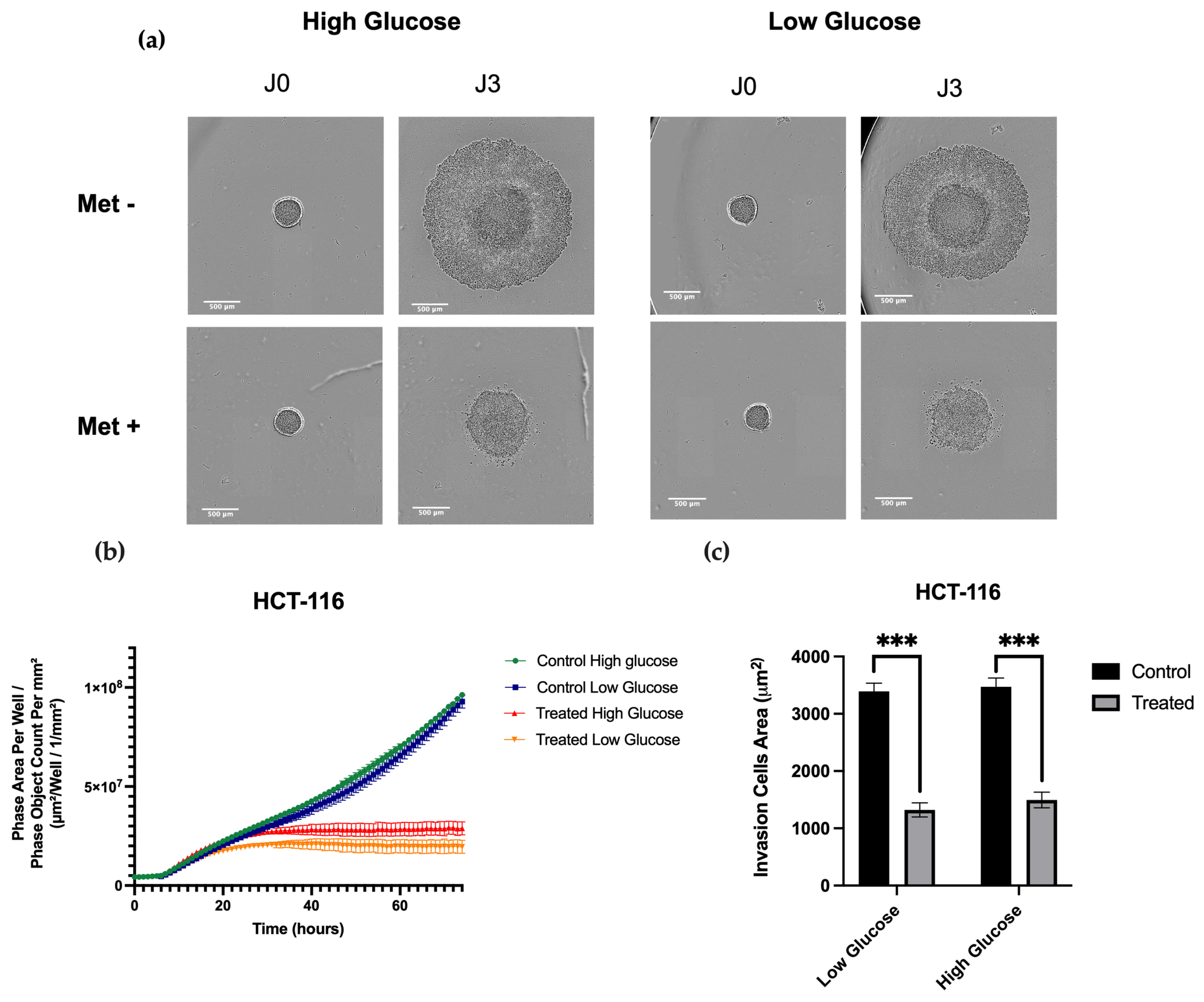 Cancers 15 03724 g006 Cancers 15 03724 g006