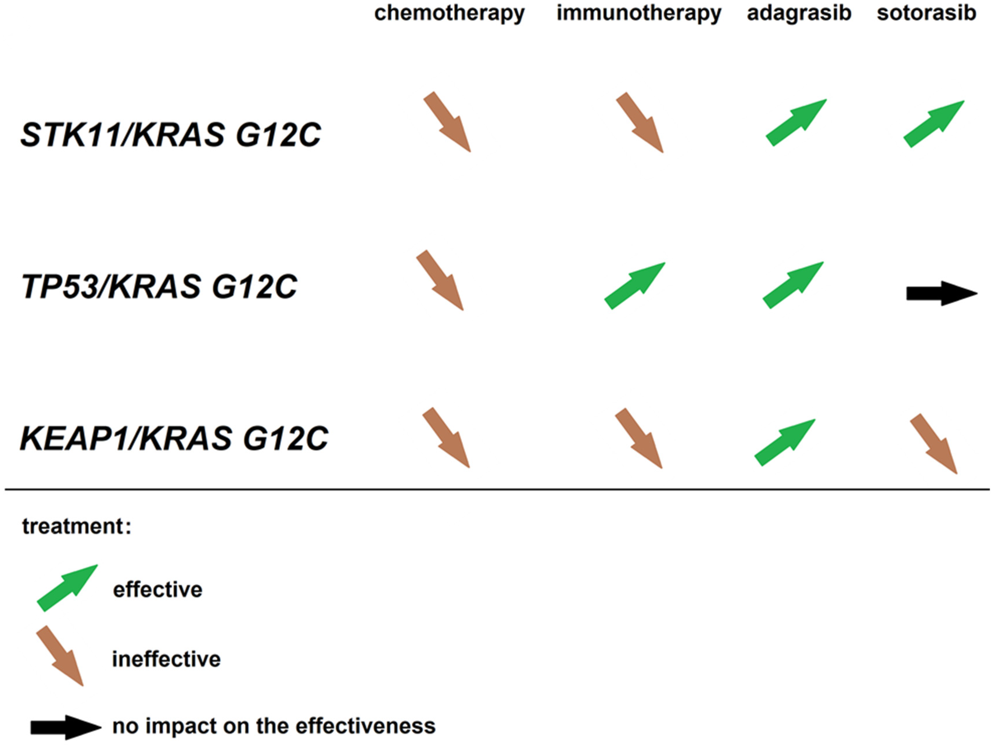 Cancers 15 03732 g001