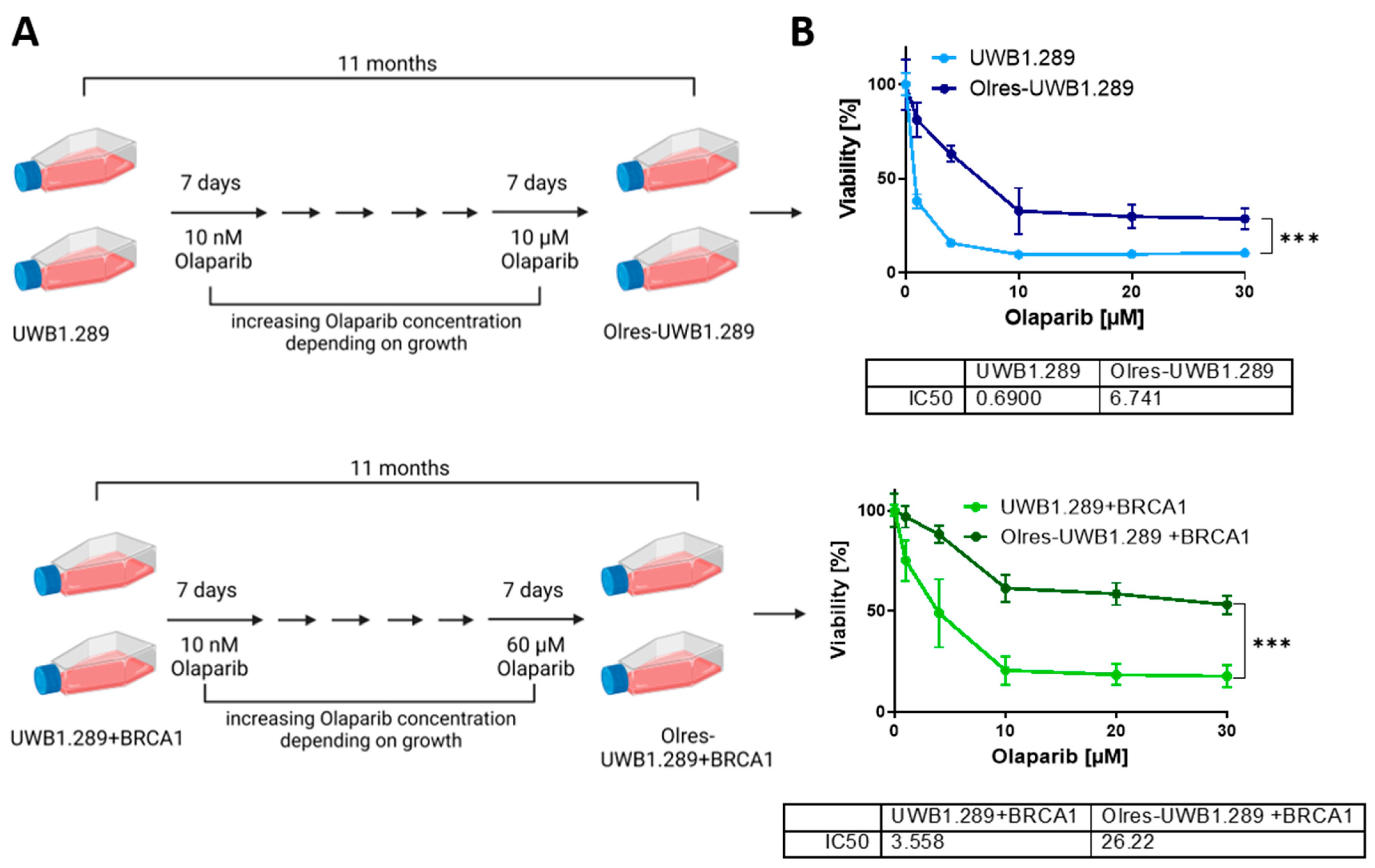 Cancers 15 03774 g001