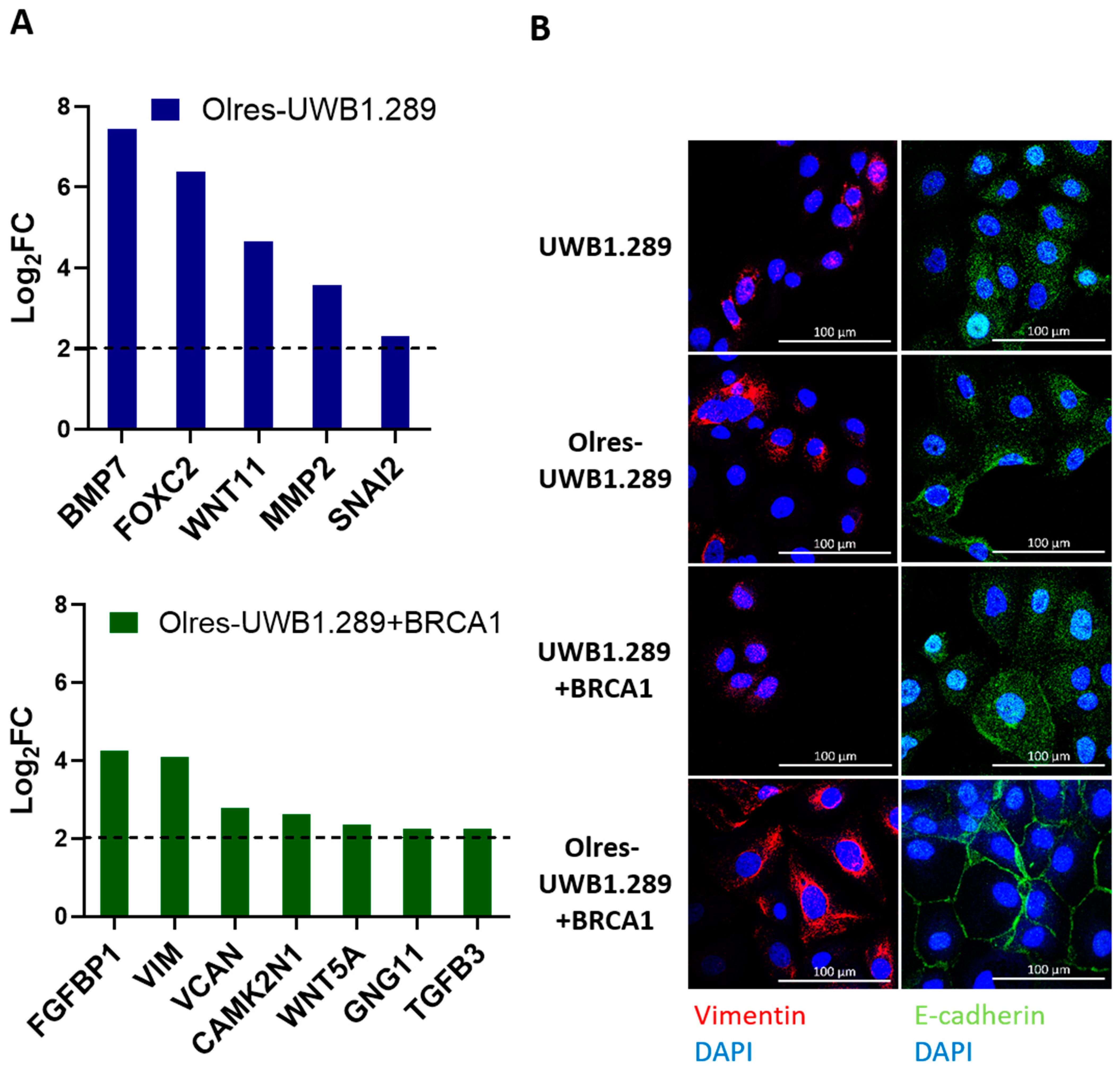 Cancers 15 03774 g003
