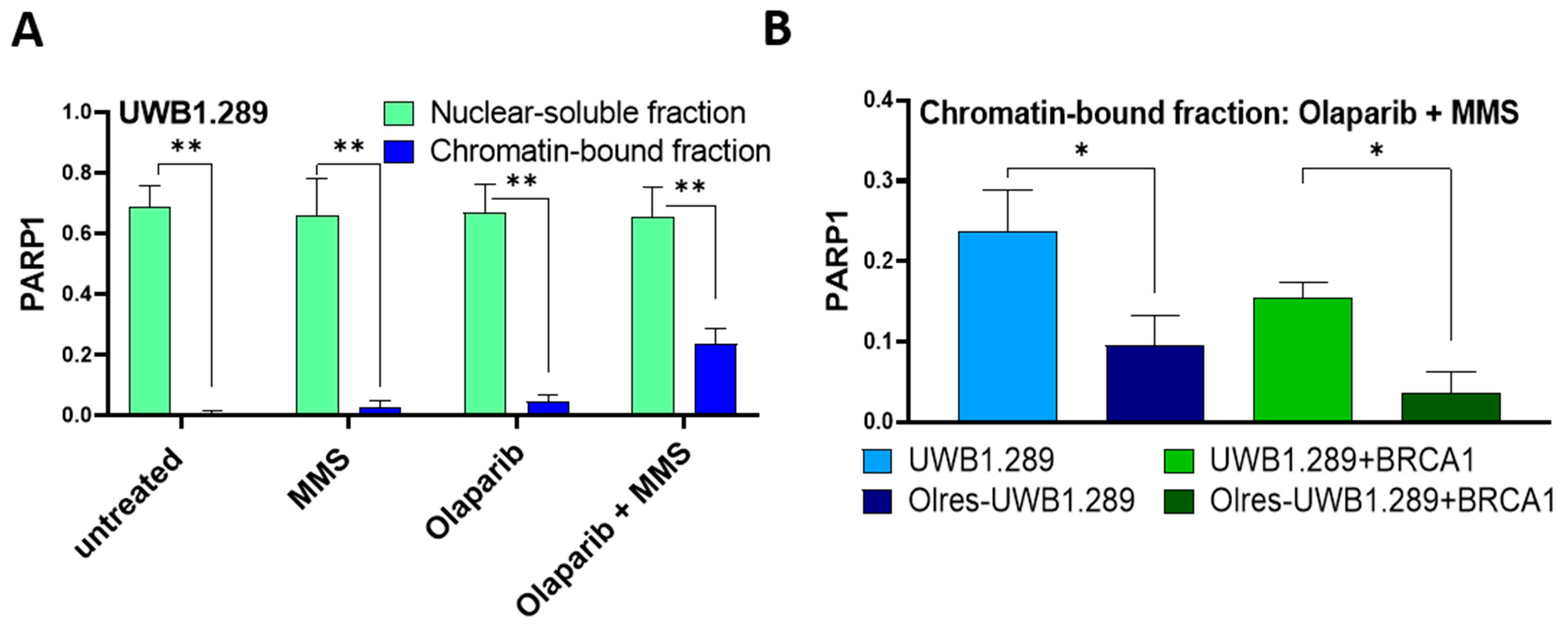 Cancers 15 03774 g006