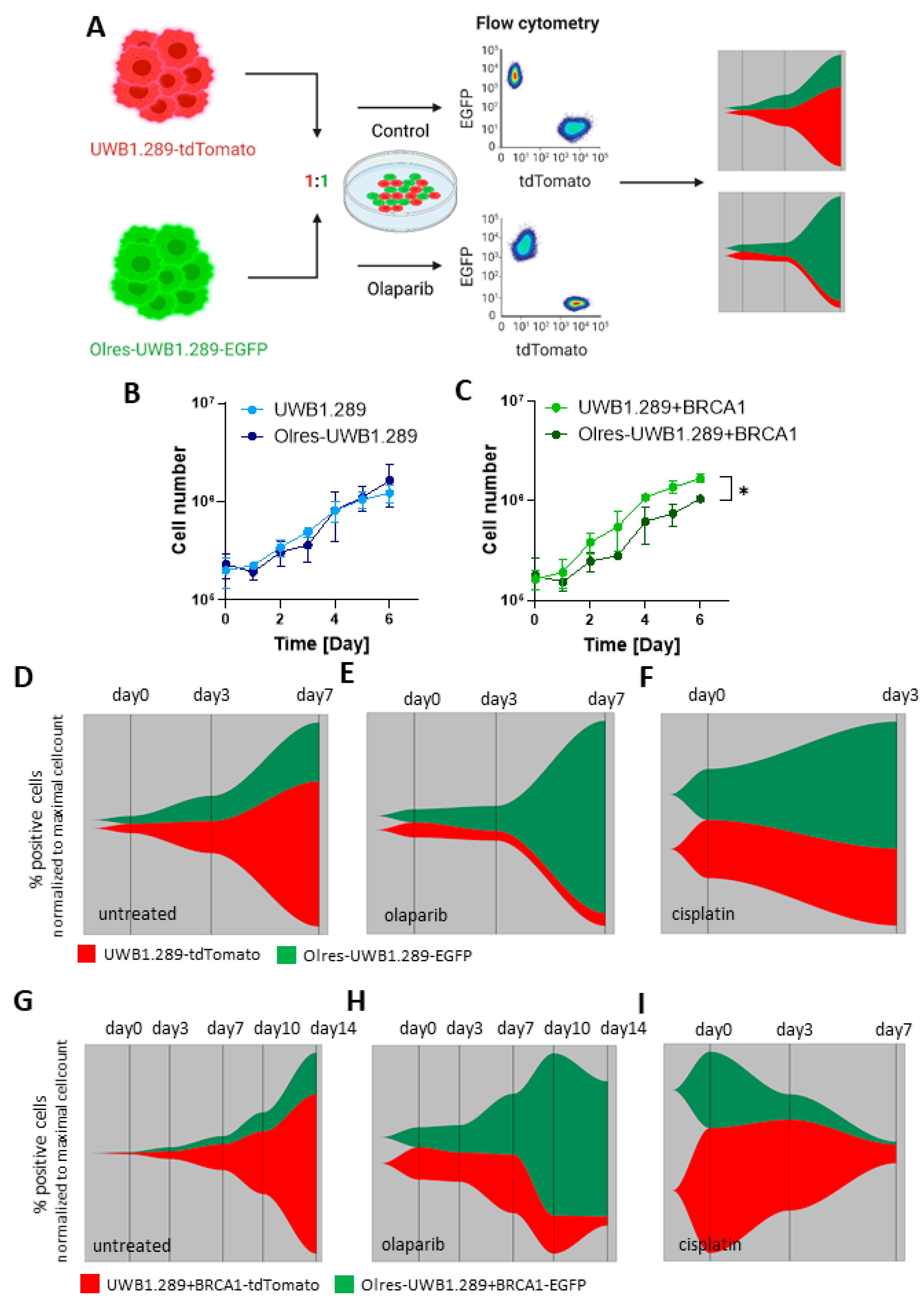 Cancers 15 03774 g007a