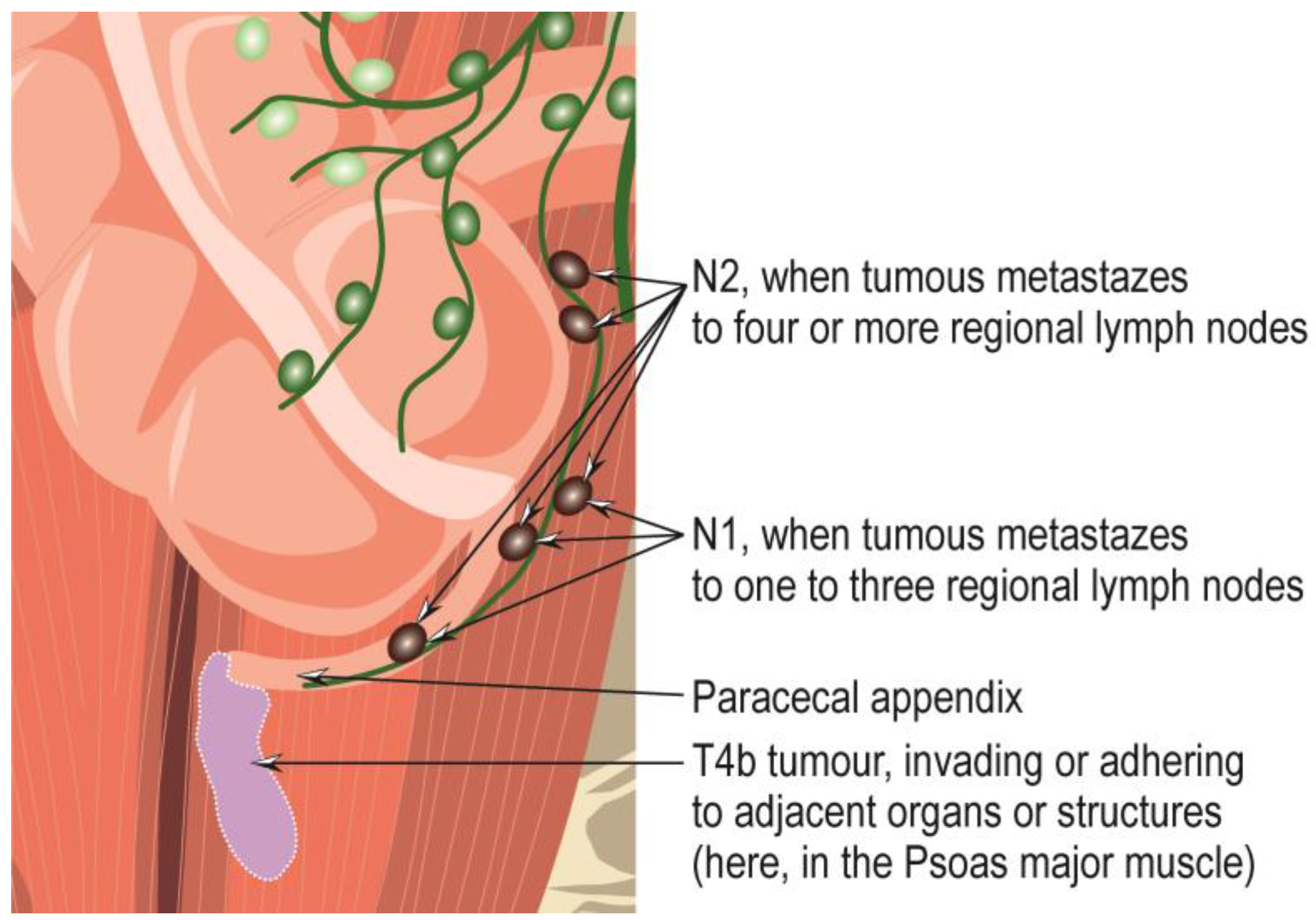 Cancers 15 03872 g005