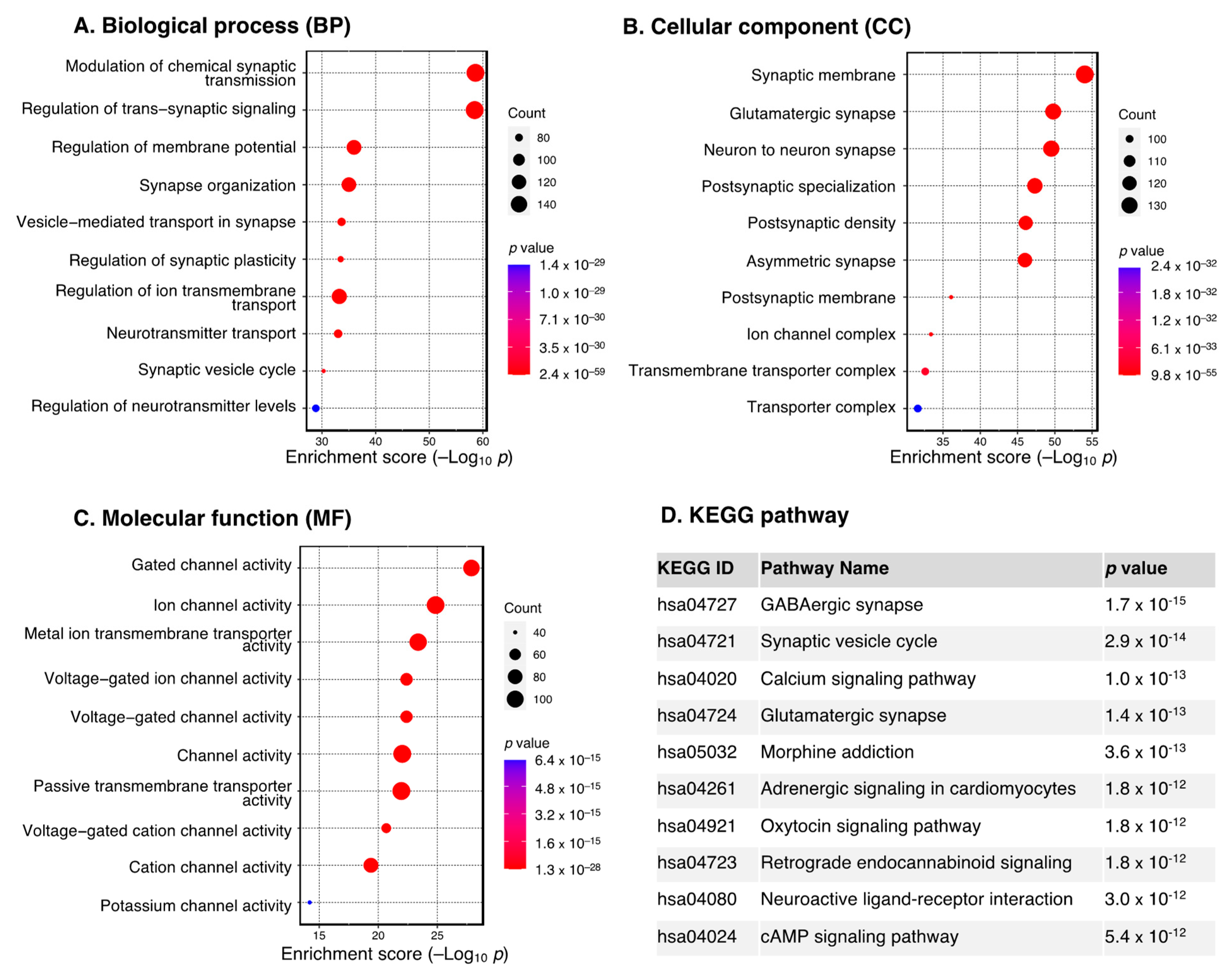 Cancers 15 03899 g003