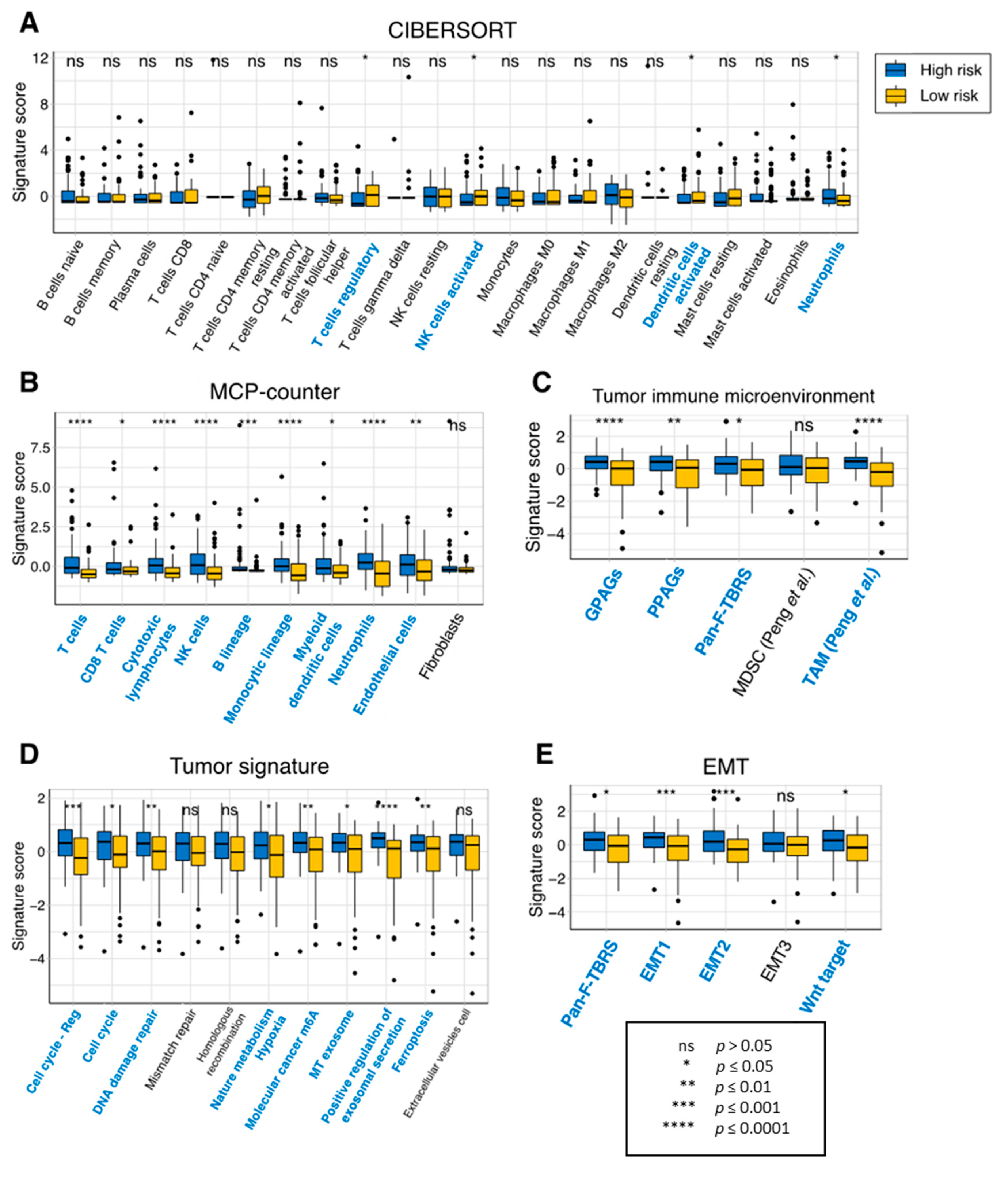 Cancers 15 03899 g006