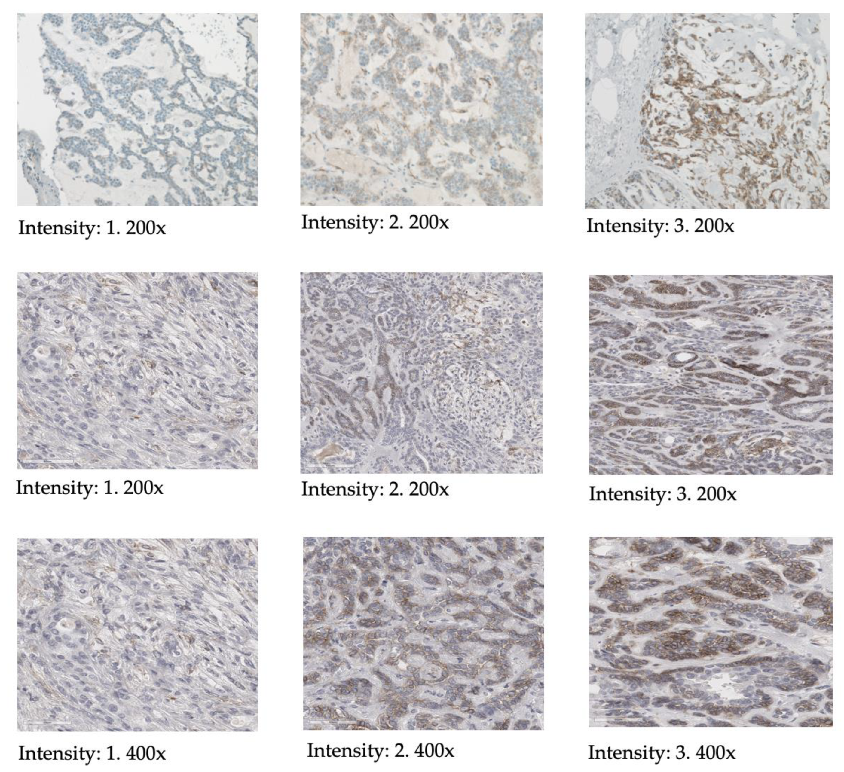 Cancers 15 03917 g001