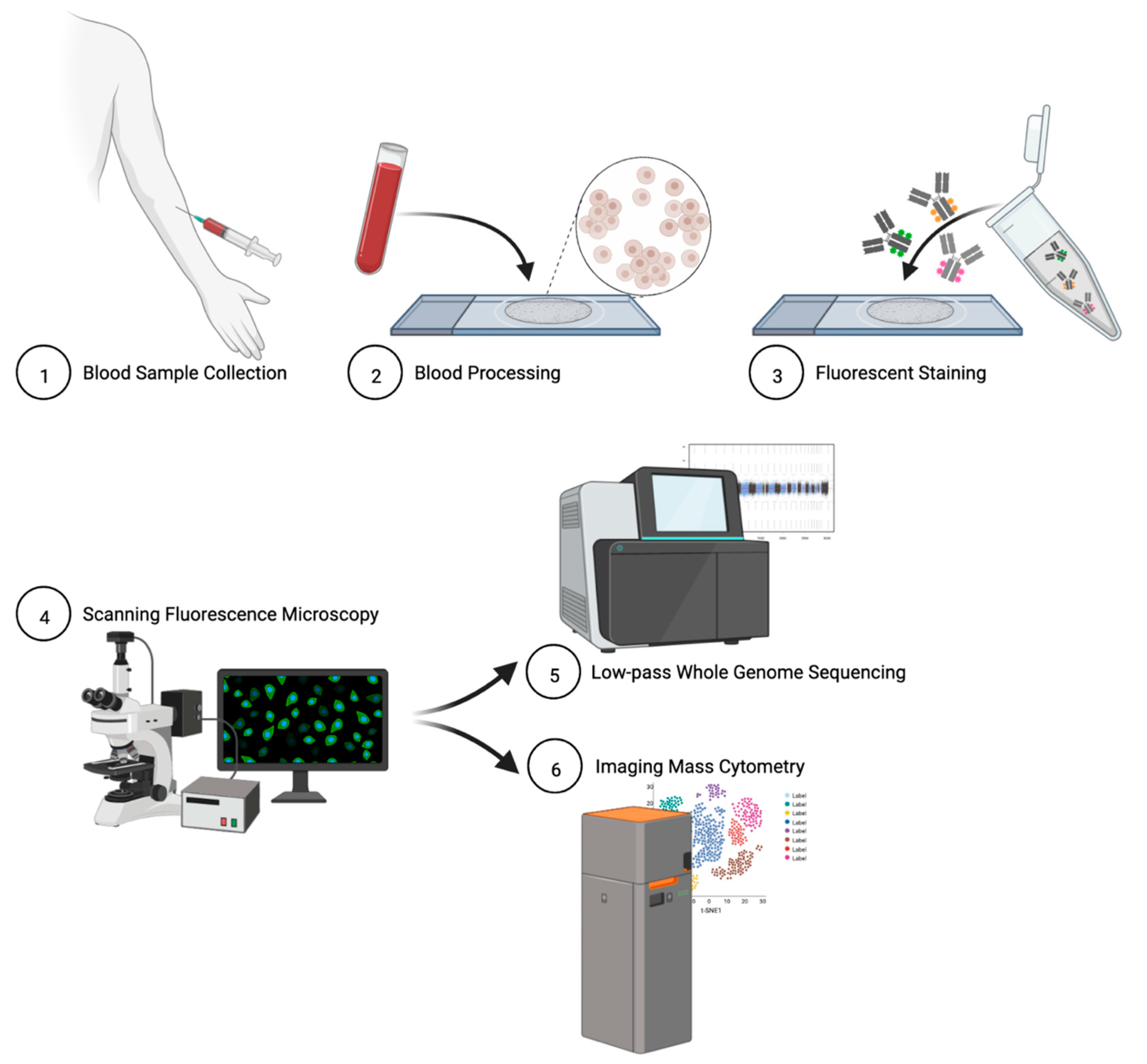 Cancers 15 03949 g001