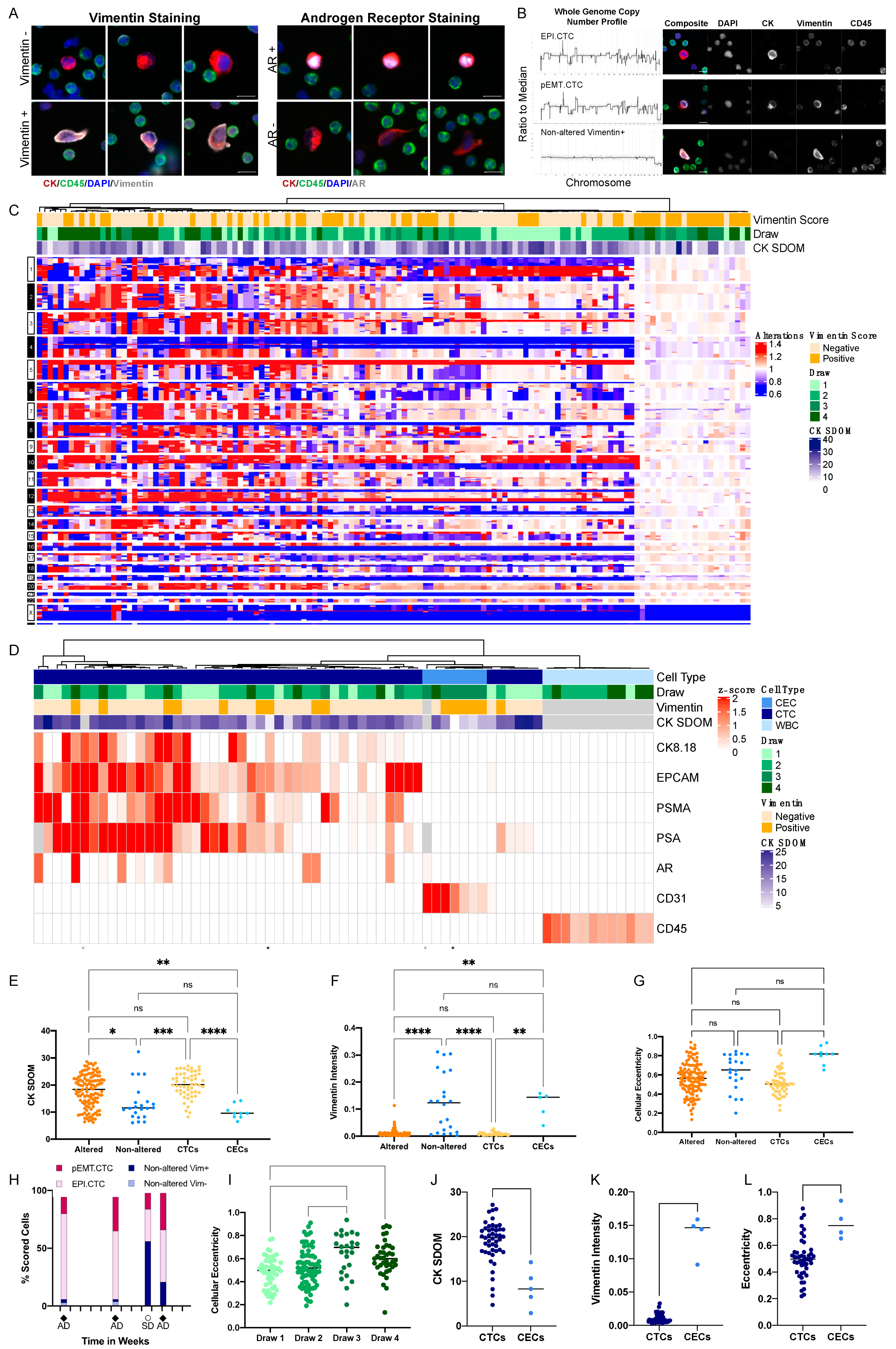 Cancers 15 03949 g002