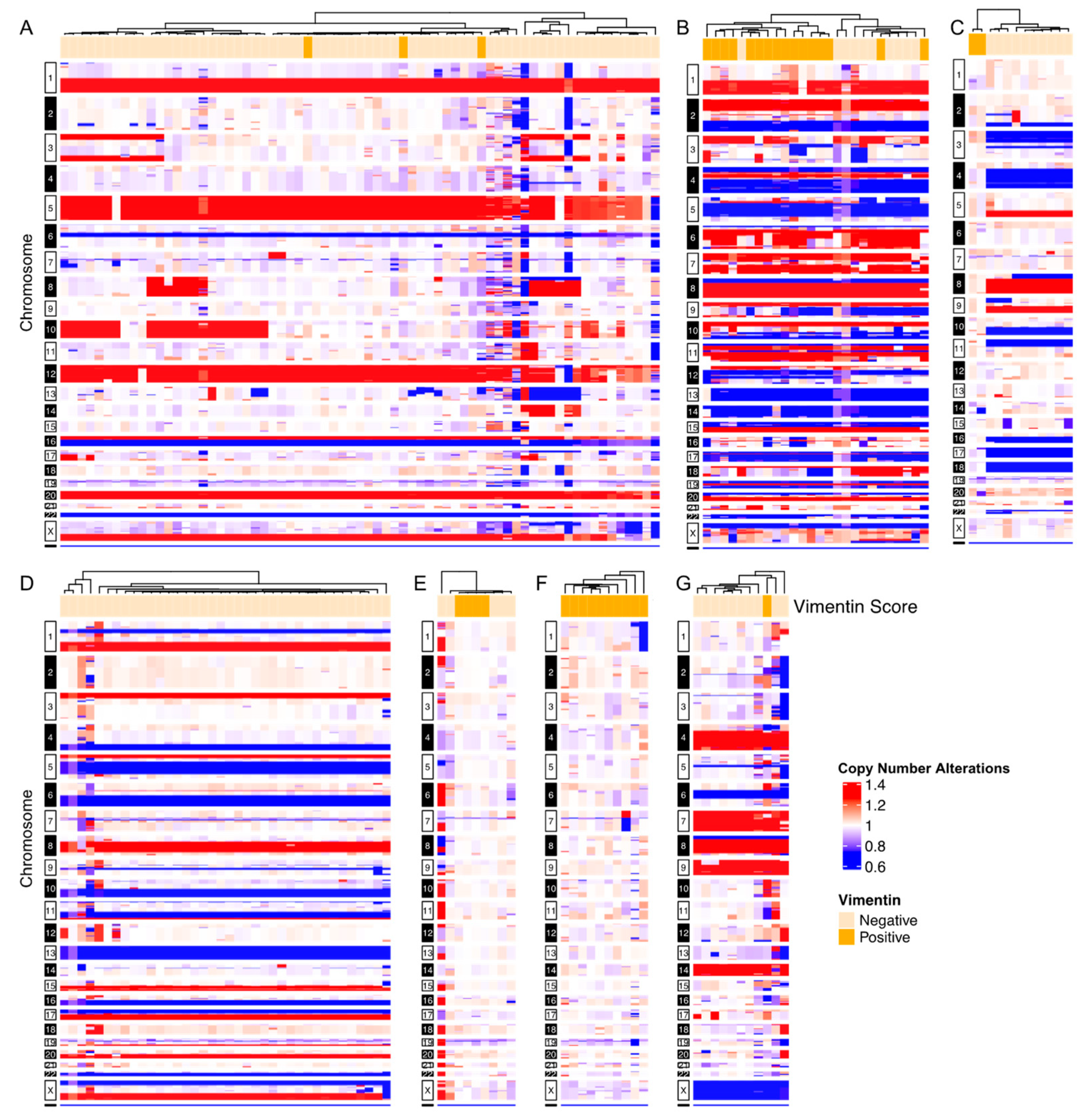 Cancers 15 03949 g003