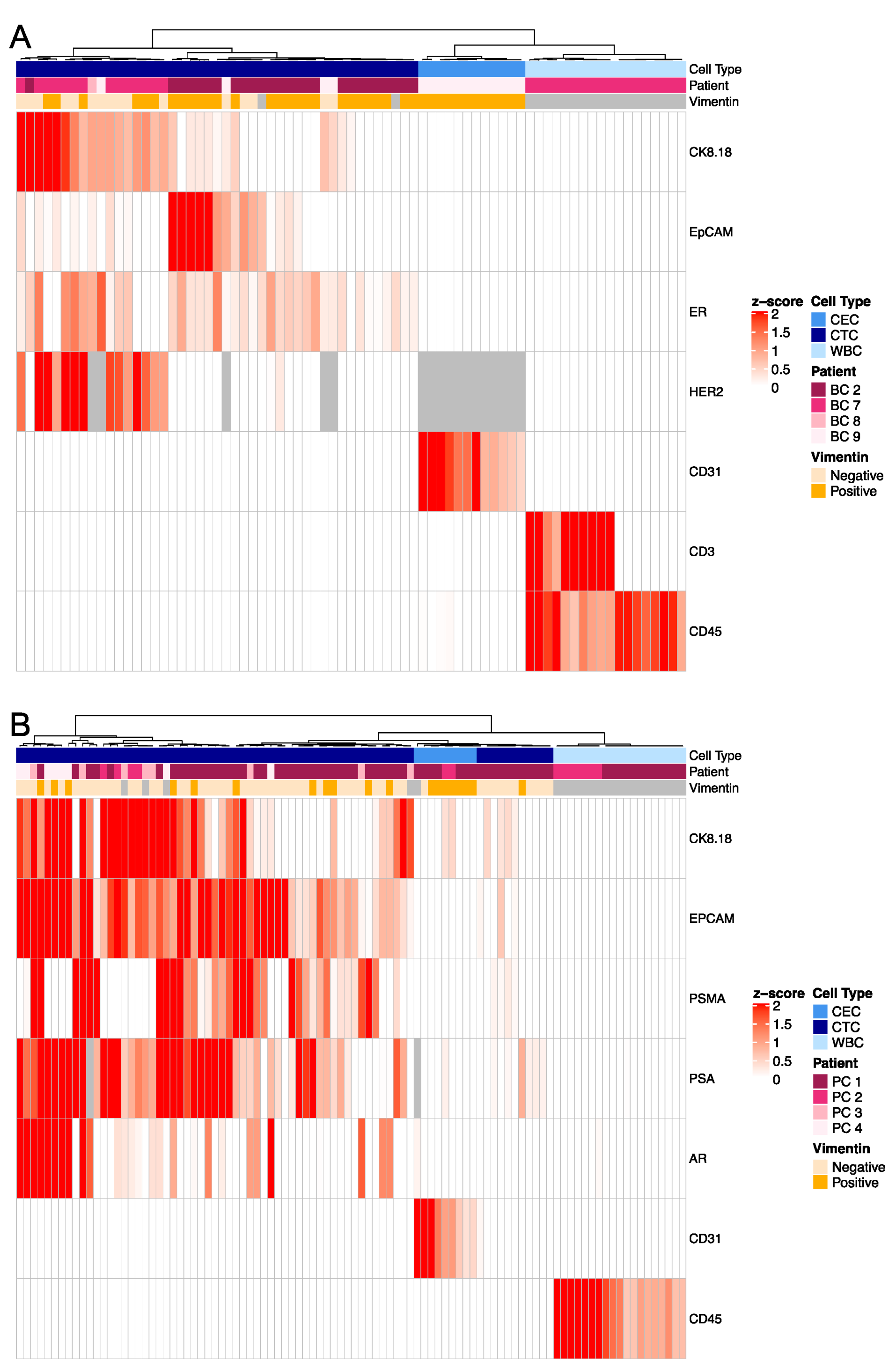 Cancers 15 03949 g004