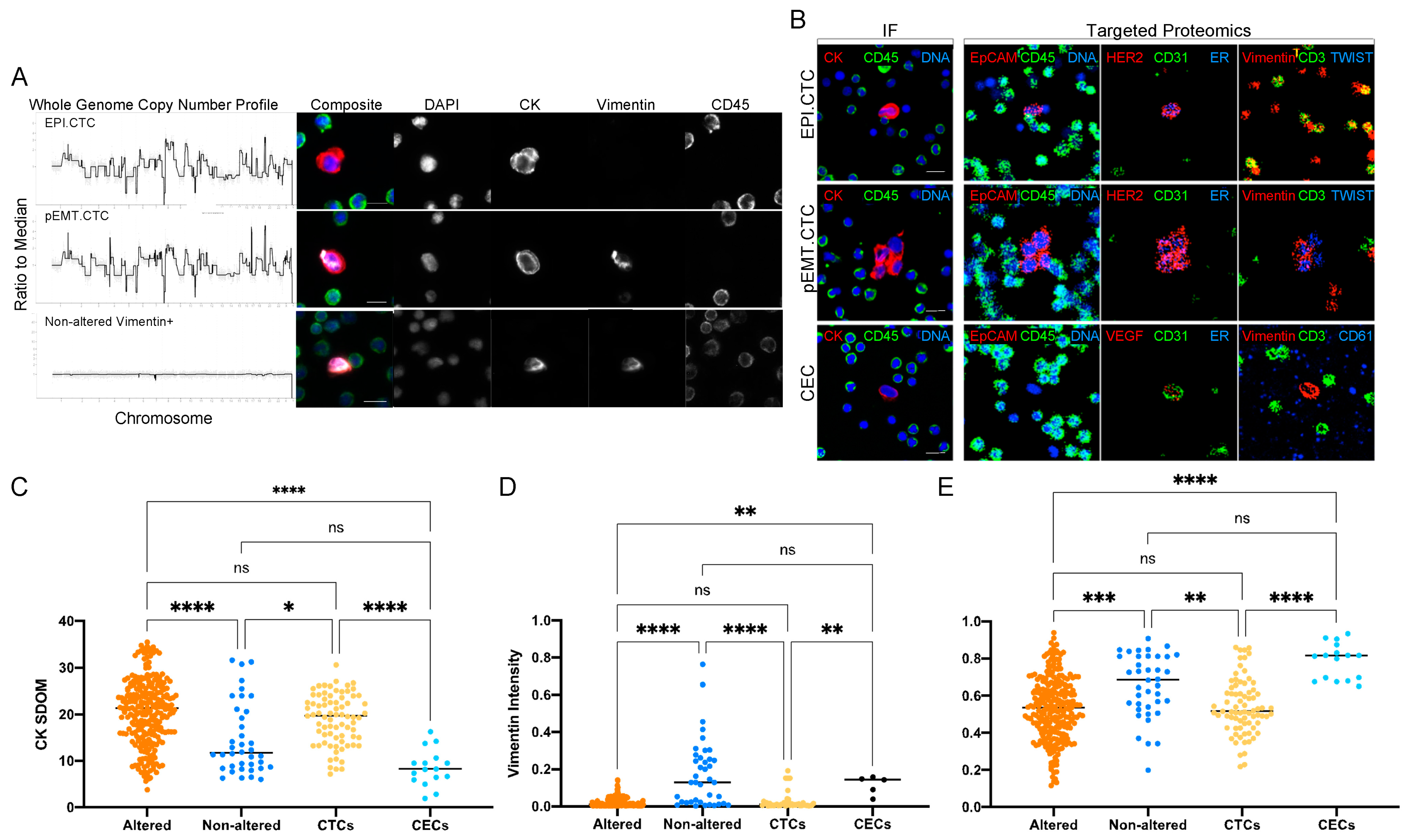 Cancers 15 03949 g005