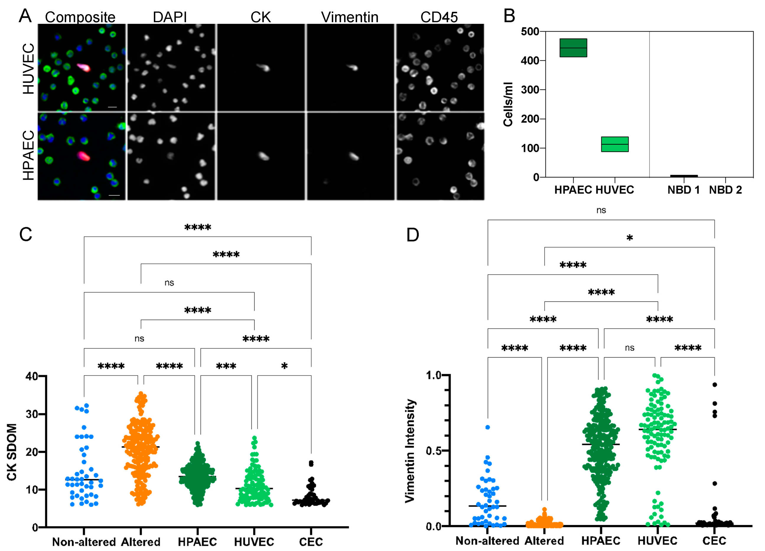 Cancers 15 03949 g006