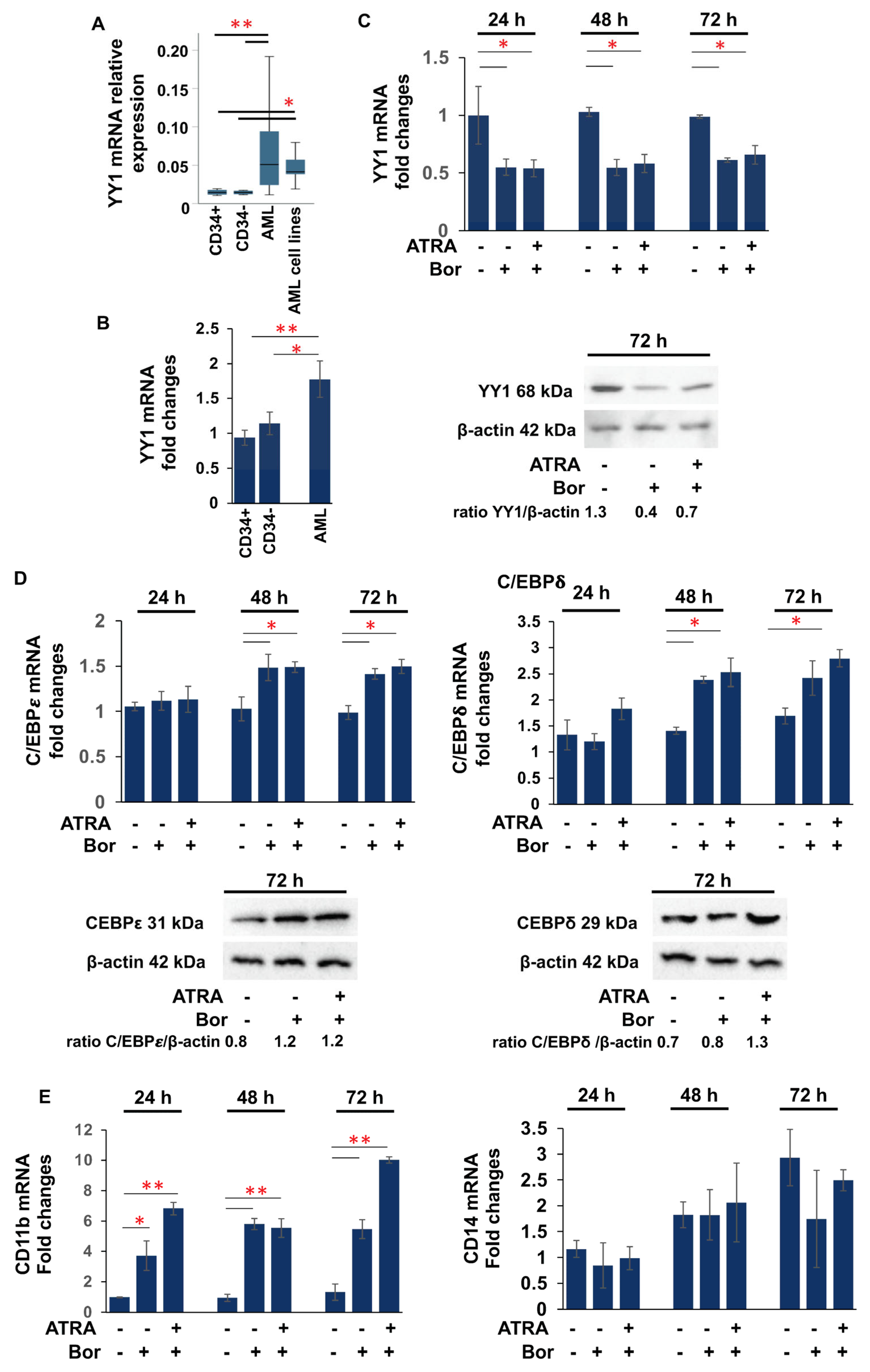Cancers 15 04010 g001
