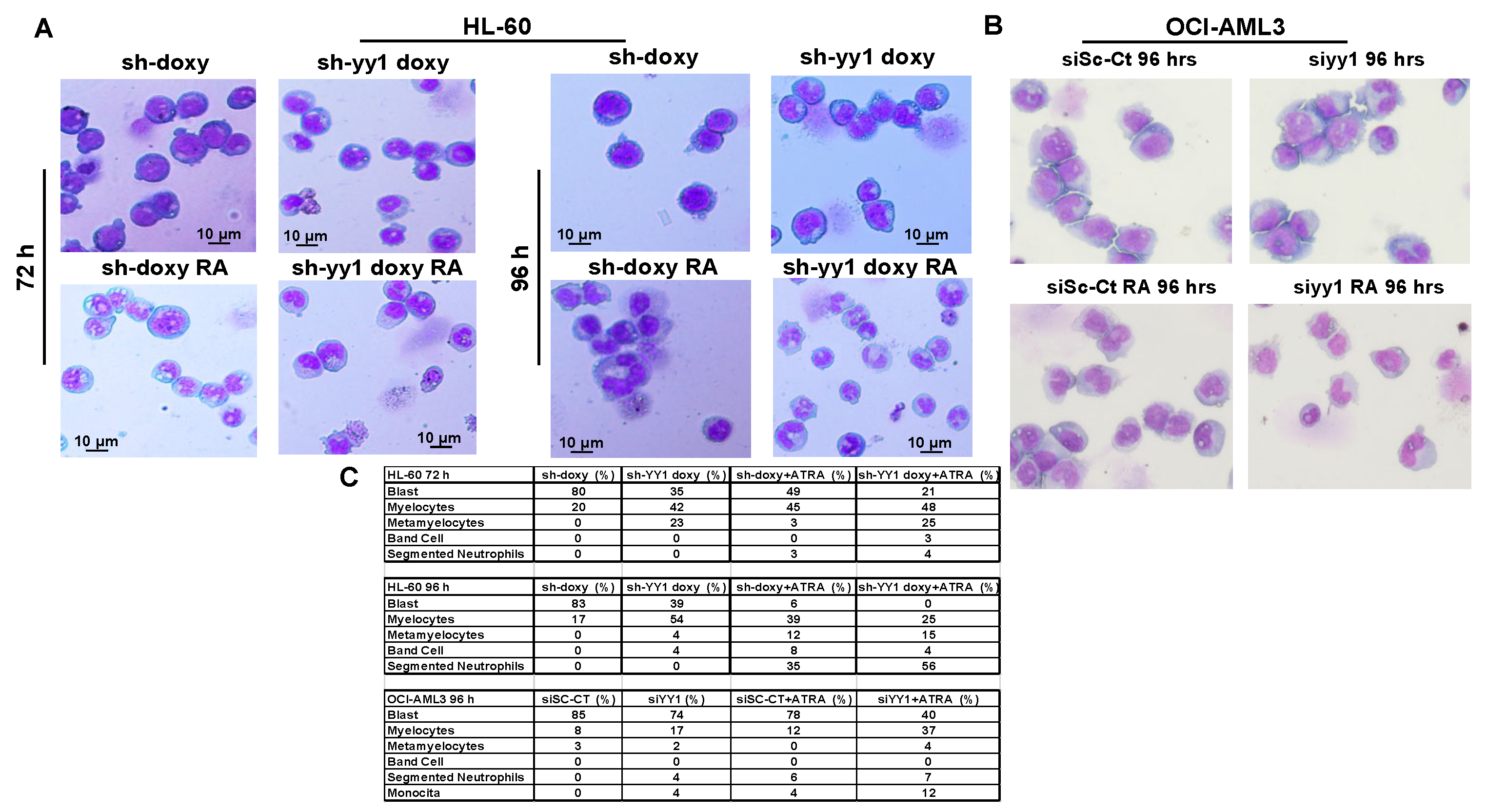 Cancers 15 04010 g009