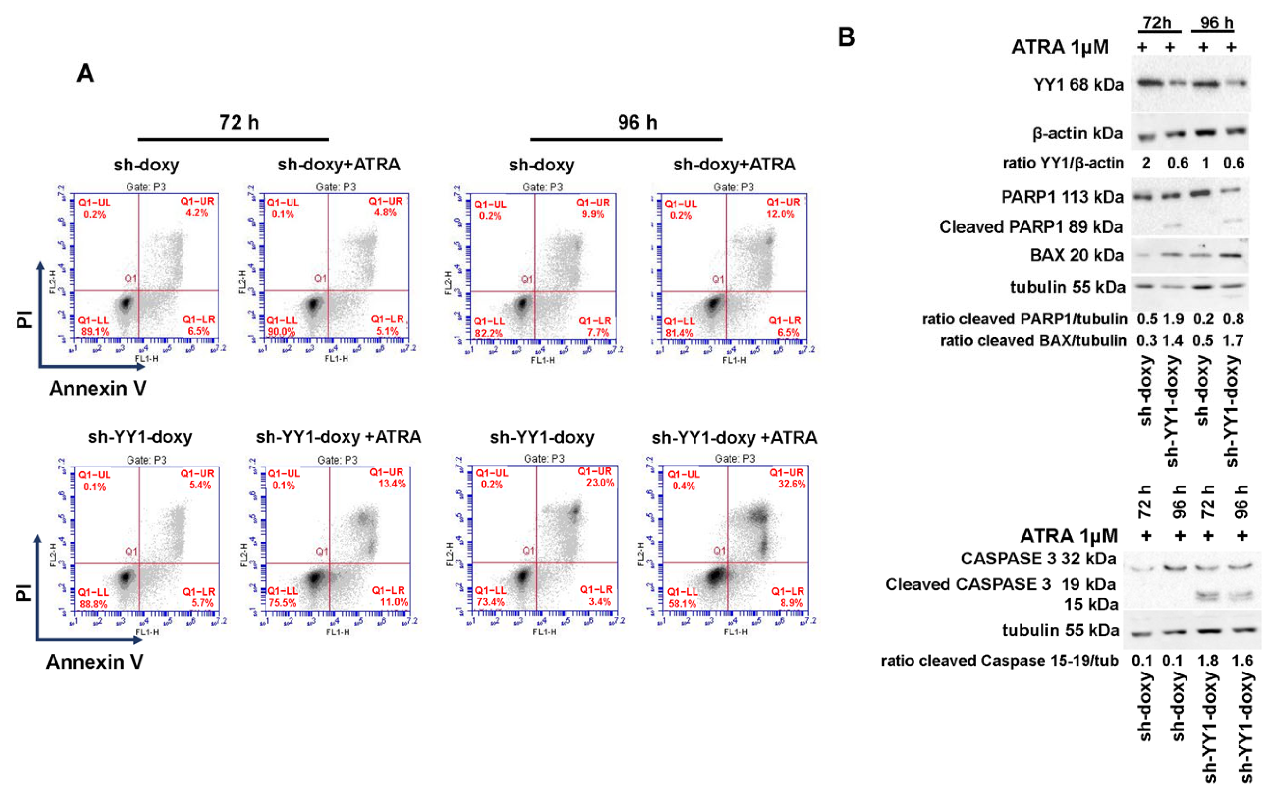Cancers 15 04010 g010