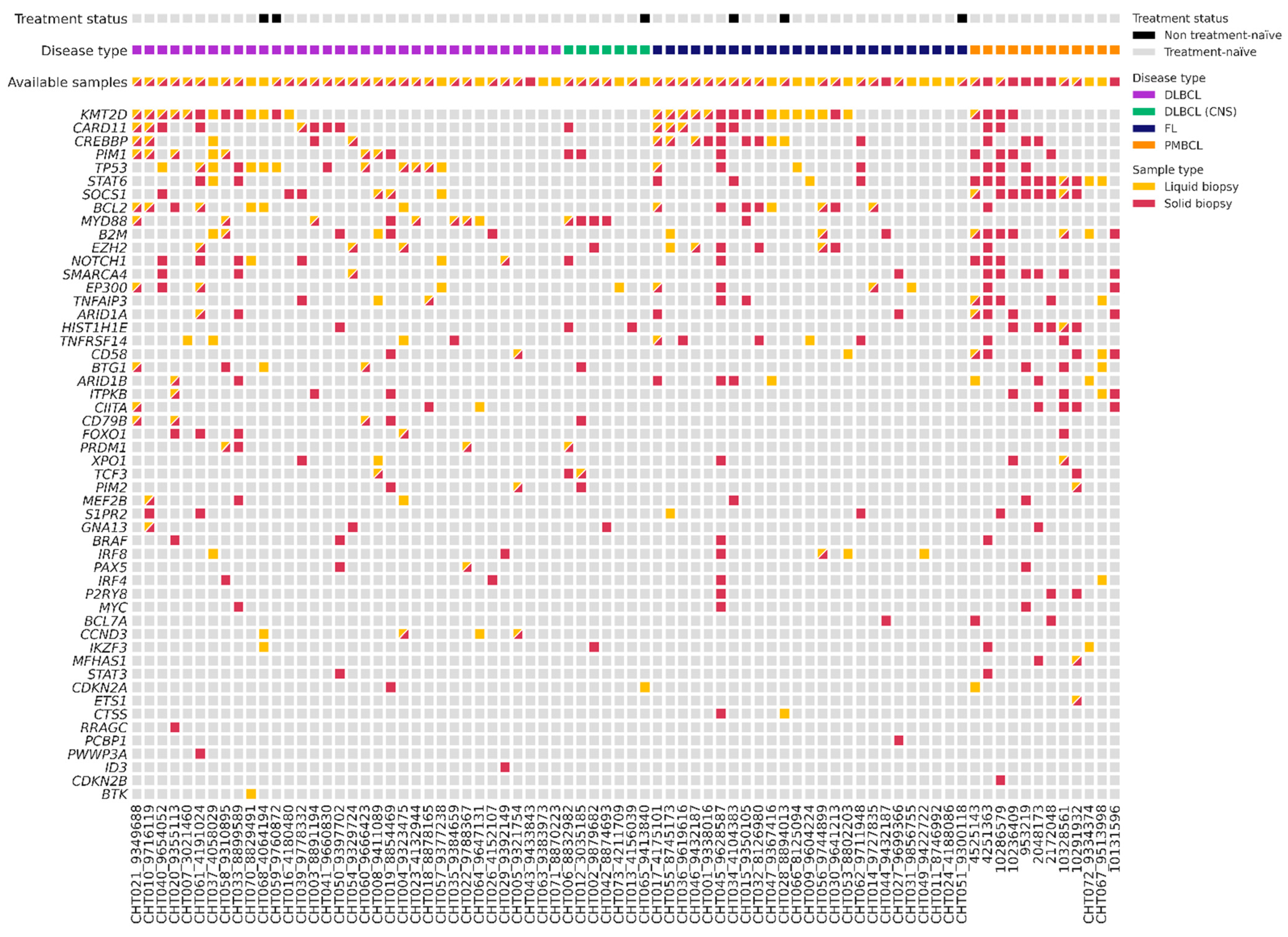 Cancers 15 04022 g002
