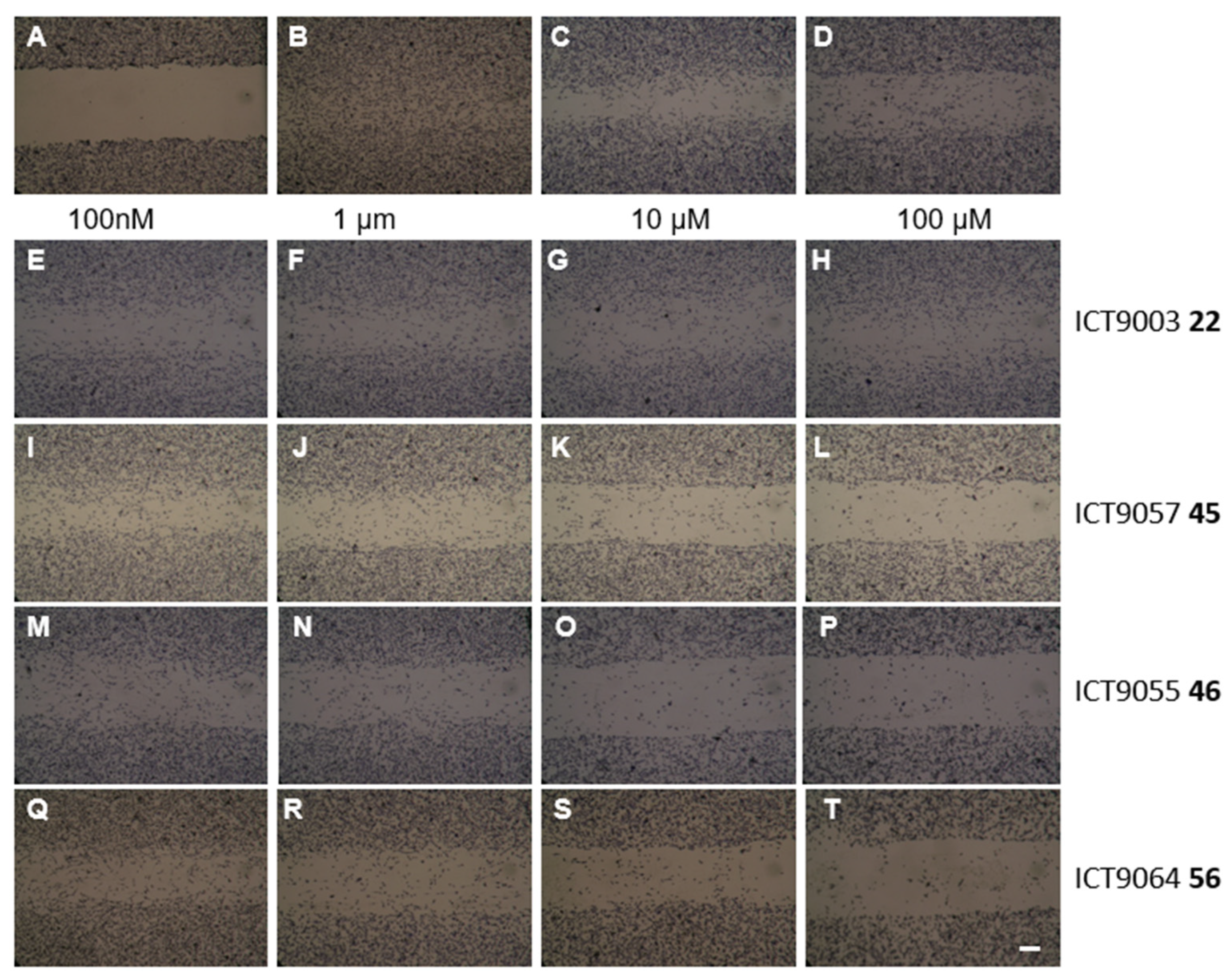 Cancers 15 04023 g003