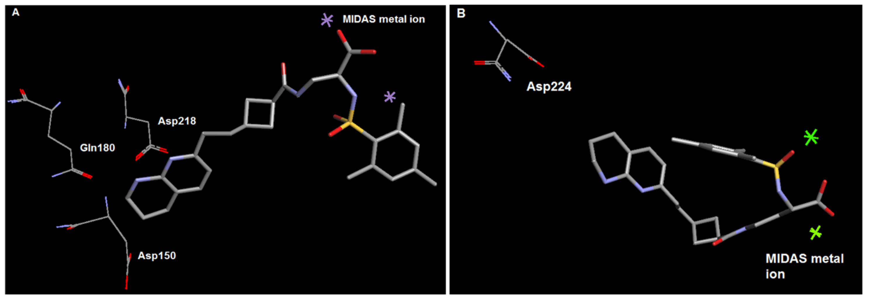 Cancers 15 04023 g004