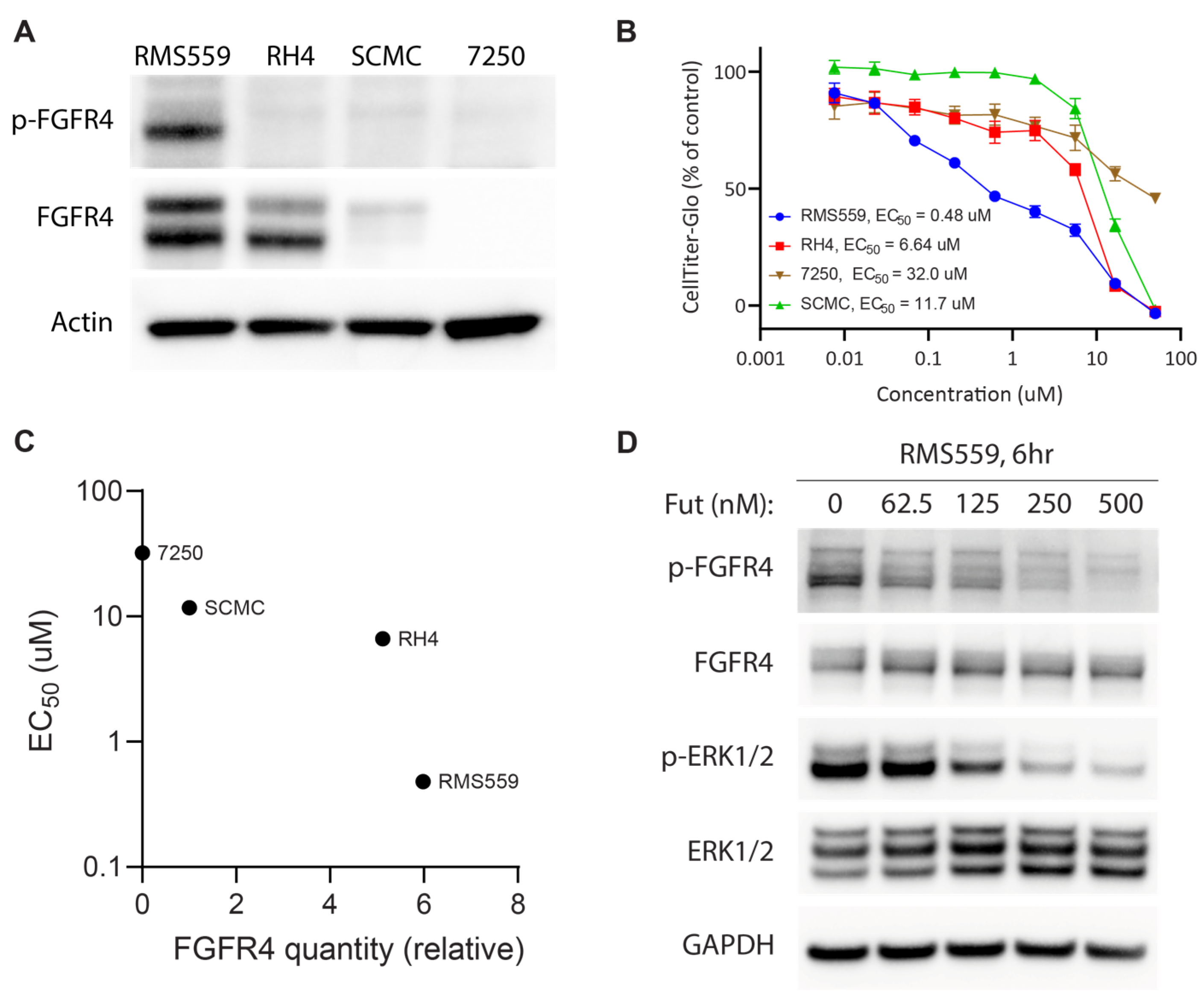 Cancers 15 04034 g001