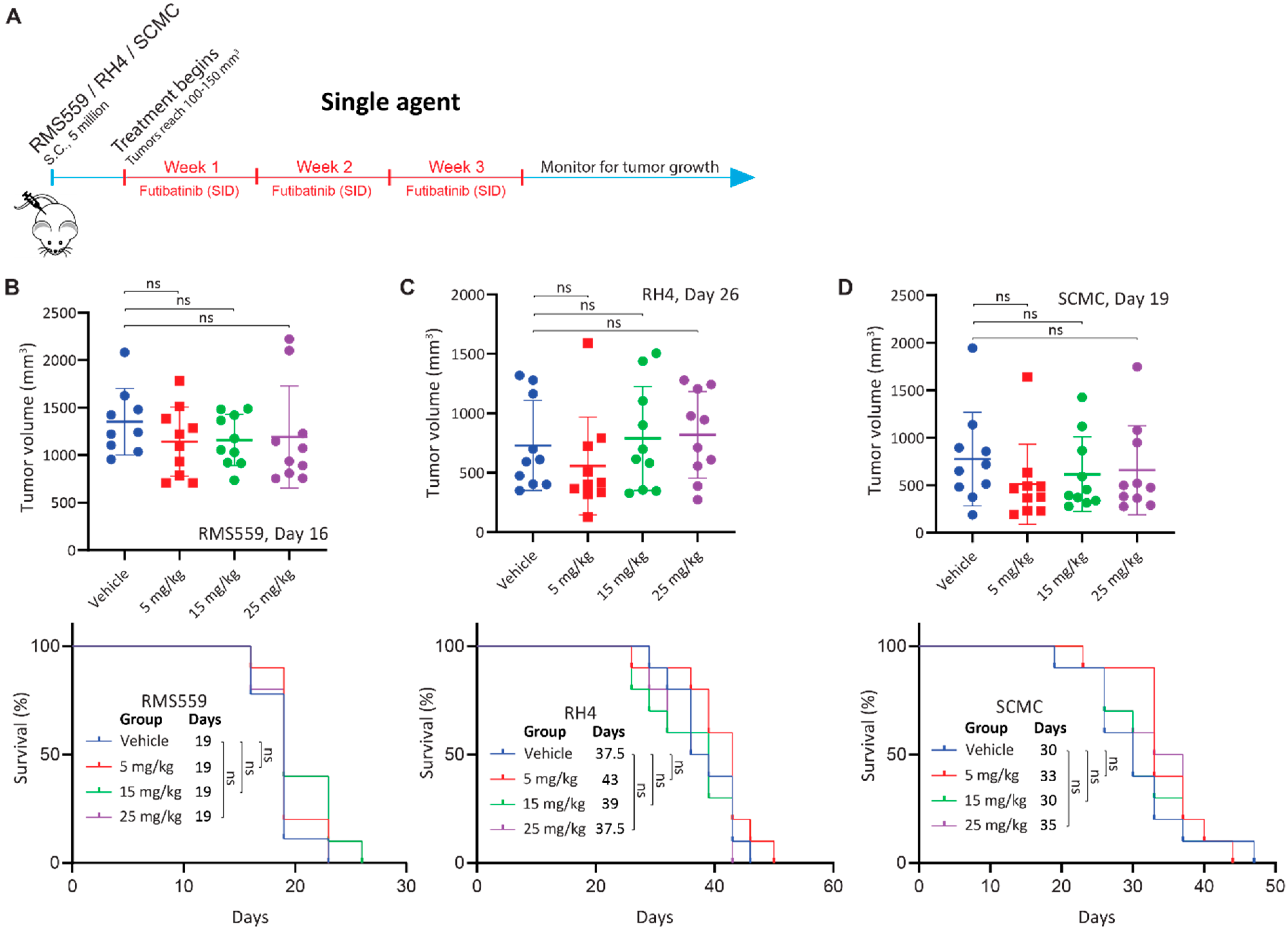Cancers 15 04034 g002