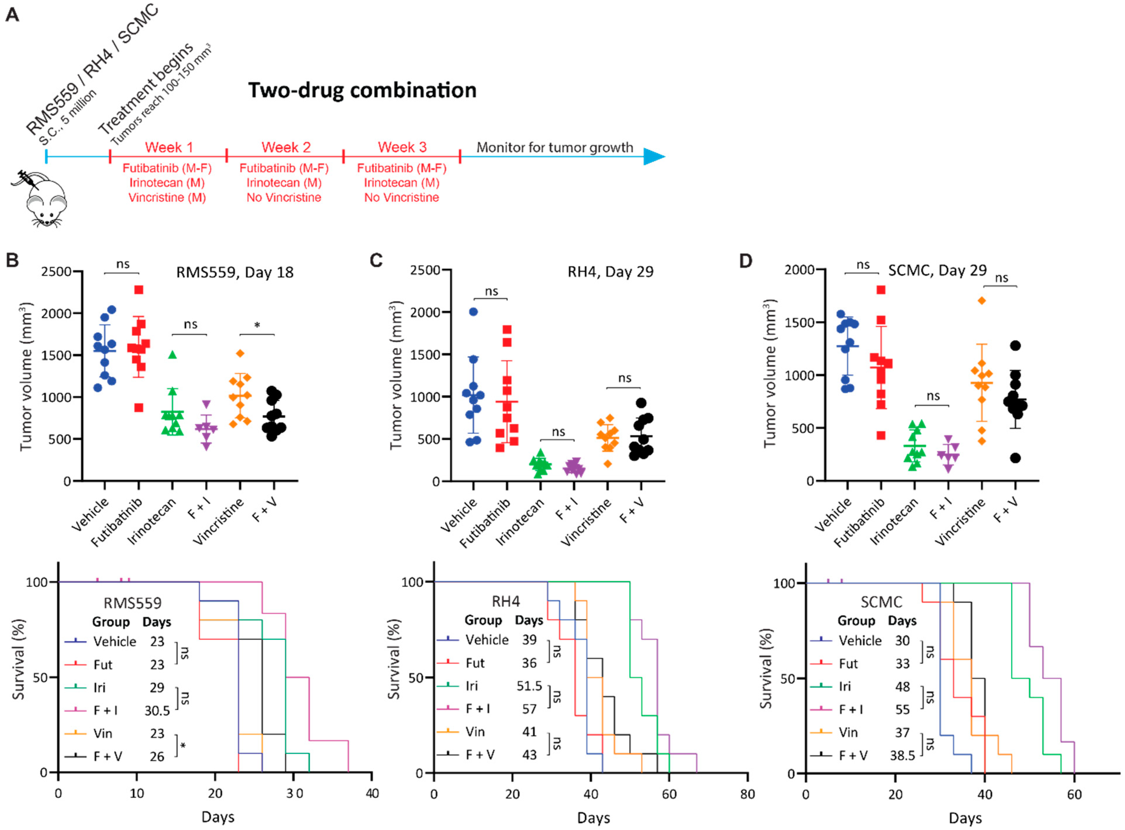 Cancers 15 04034 g004