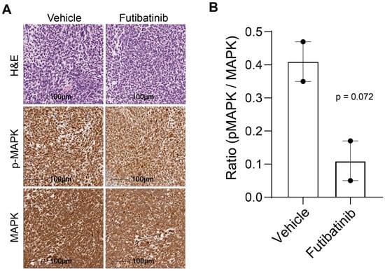 Cancers 15 04034 g0a6
