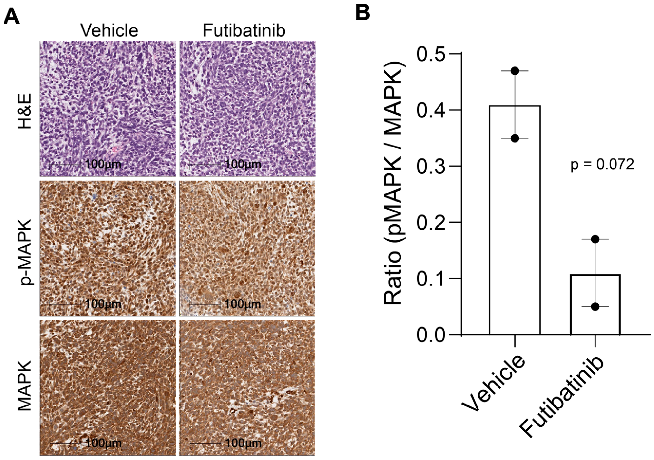 Cancers 15 04034 g0a6