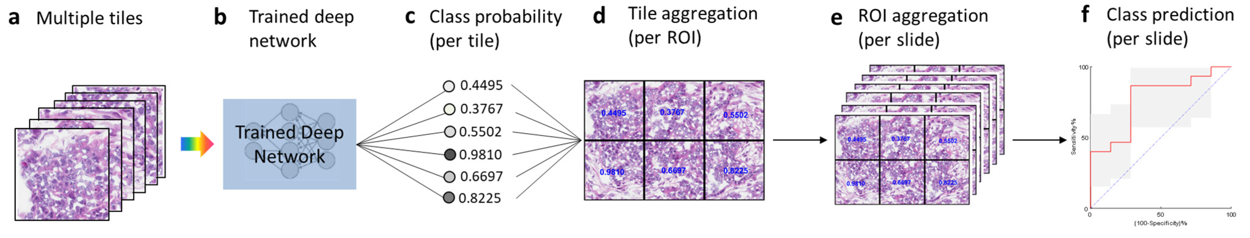 Cancers 15 04044 g002 Cancers 15 04044 g002
