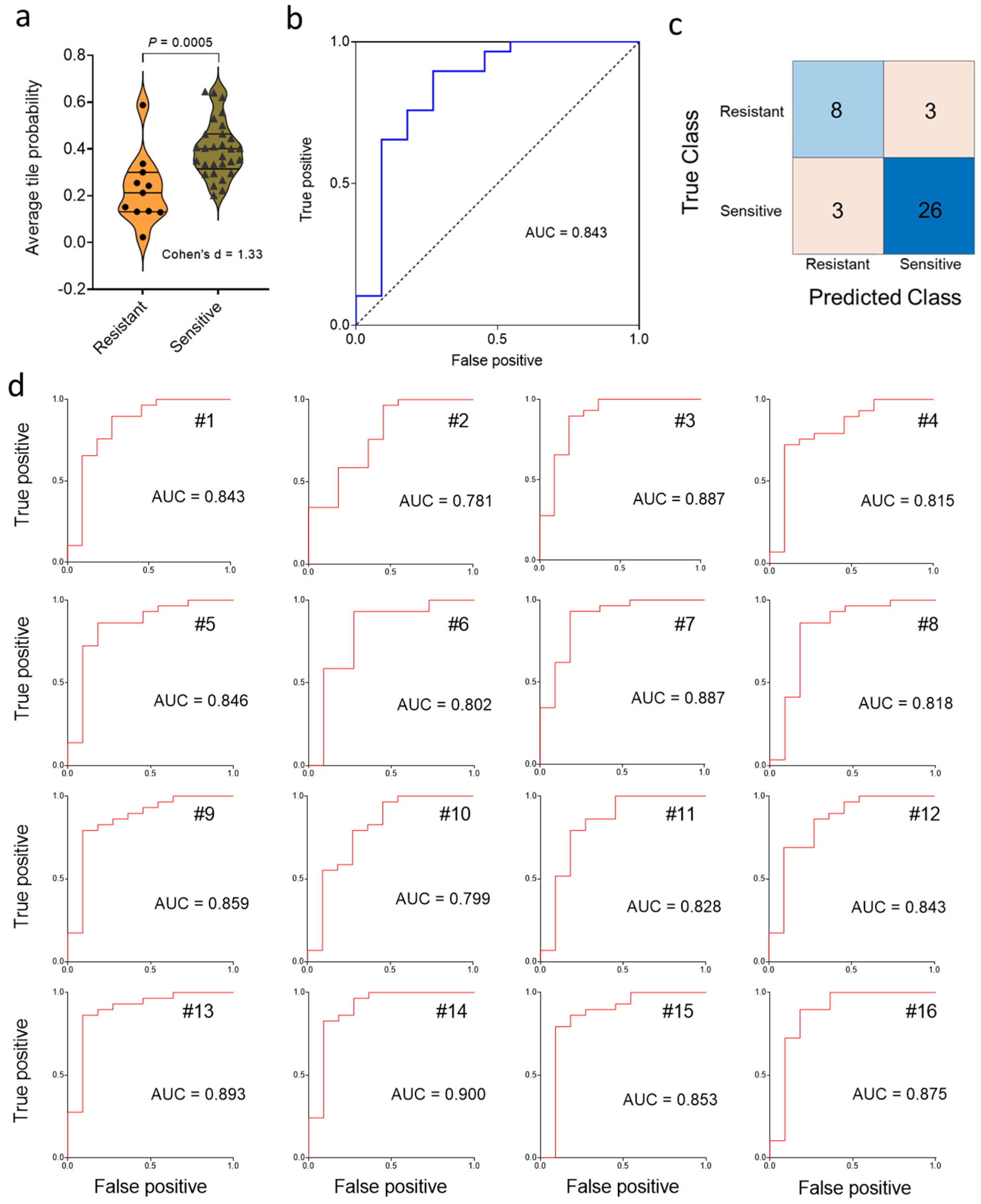 Cancers 15 04044 g003 Cancers 15 04044 g003